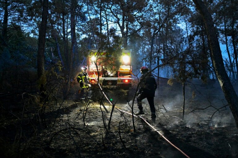 Des pompiers dans la forêt de Brocéliande, en Bretagne, le 18 juillet 2025 © Damien MEYER