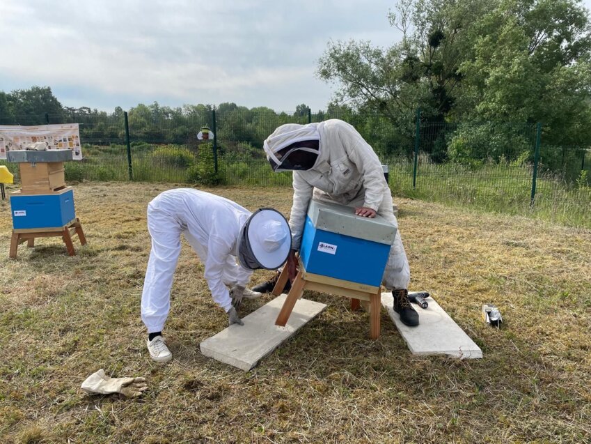 Un rucher pédagogique avait été inauguré à Laon en mai dernier. (c) ville de Laon
