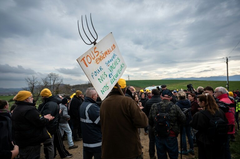 Le 10 décembre 2025, des agriculteurs manifestent contre l'abattage d'un troupeau de 200 vaches suite à la détection d'un cas de dermatose à Les-Bordes-sur-Arize © Matthieu RONDEL