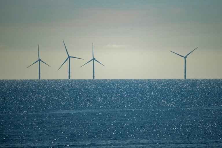 Des éoliennes marines entre le Danemark et l'Allemagne en 2025 © Olivier MORIN