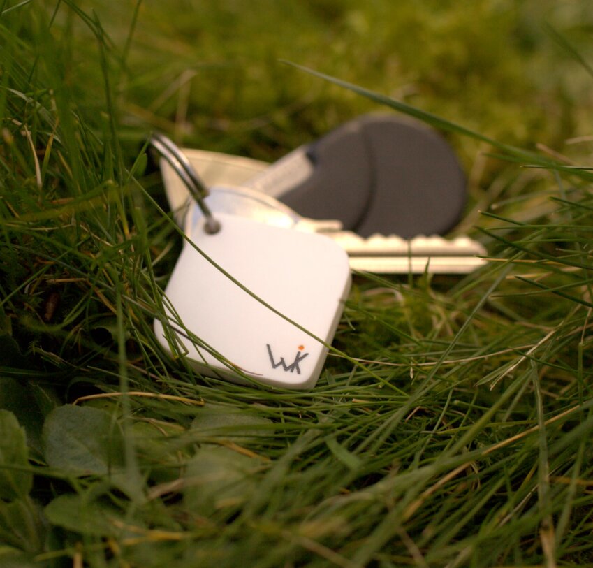 Le Wist sera commercialisé en septembre partout en France. 