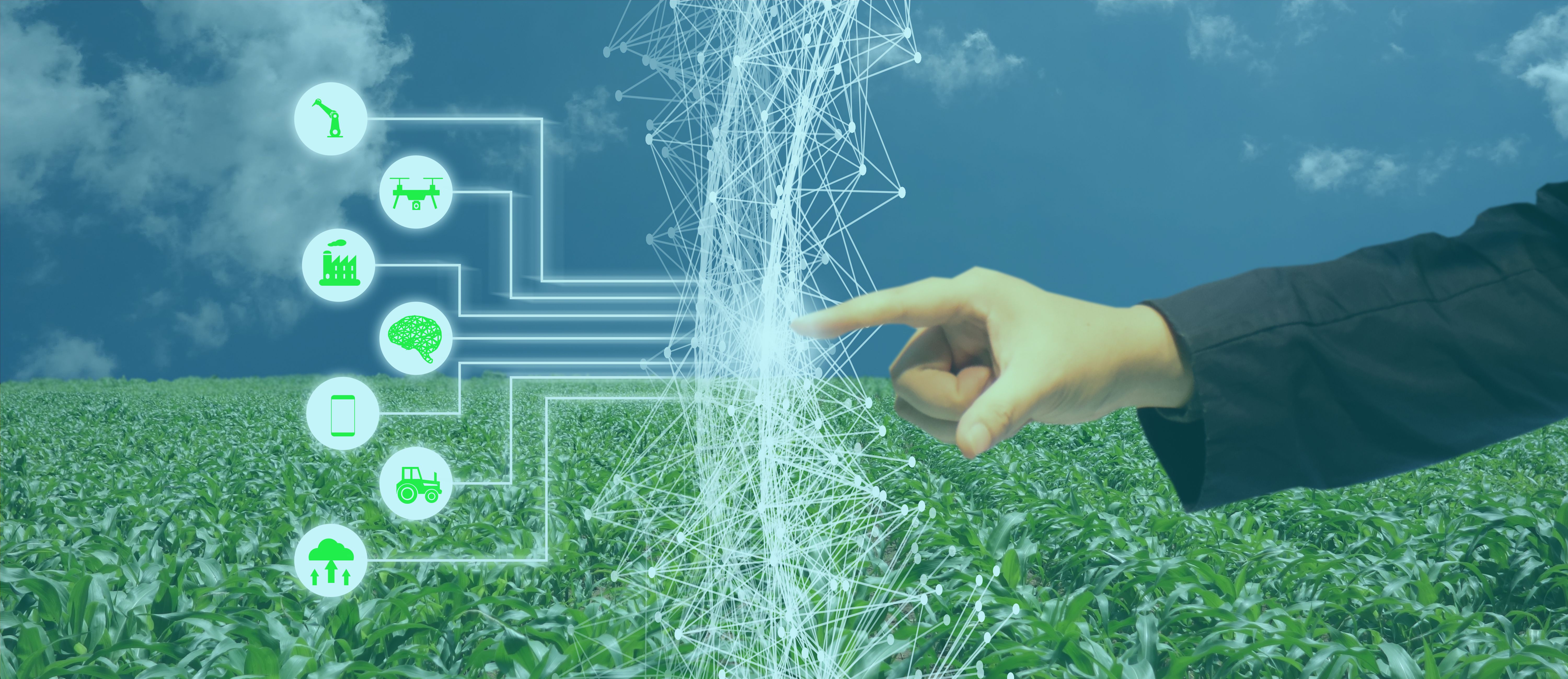 Appel à candidatures 