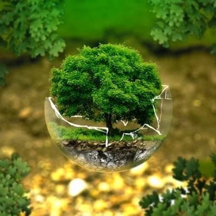 Creusot Montceau : un appel à candidature pour rejoindre le collège « citoyens du territoire »