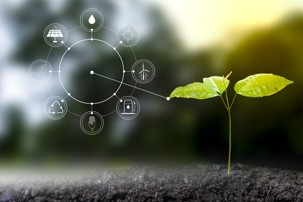 Agriculture durable : 5 start-up rejoignent le Village by CA Nord de France 