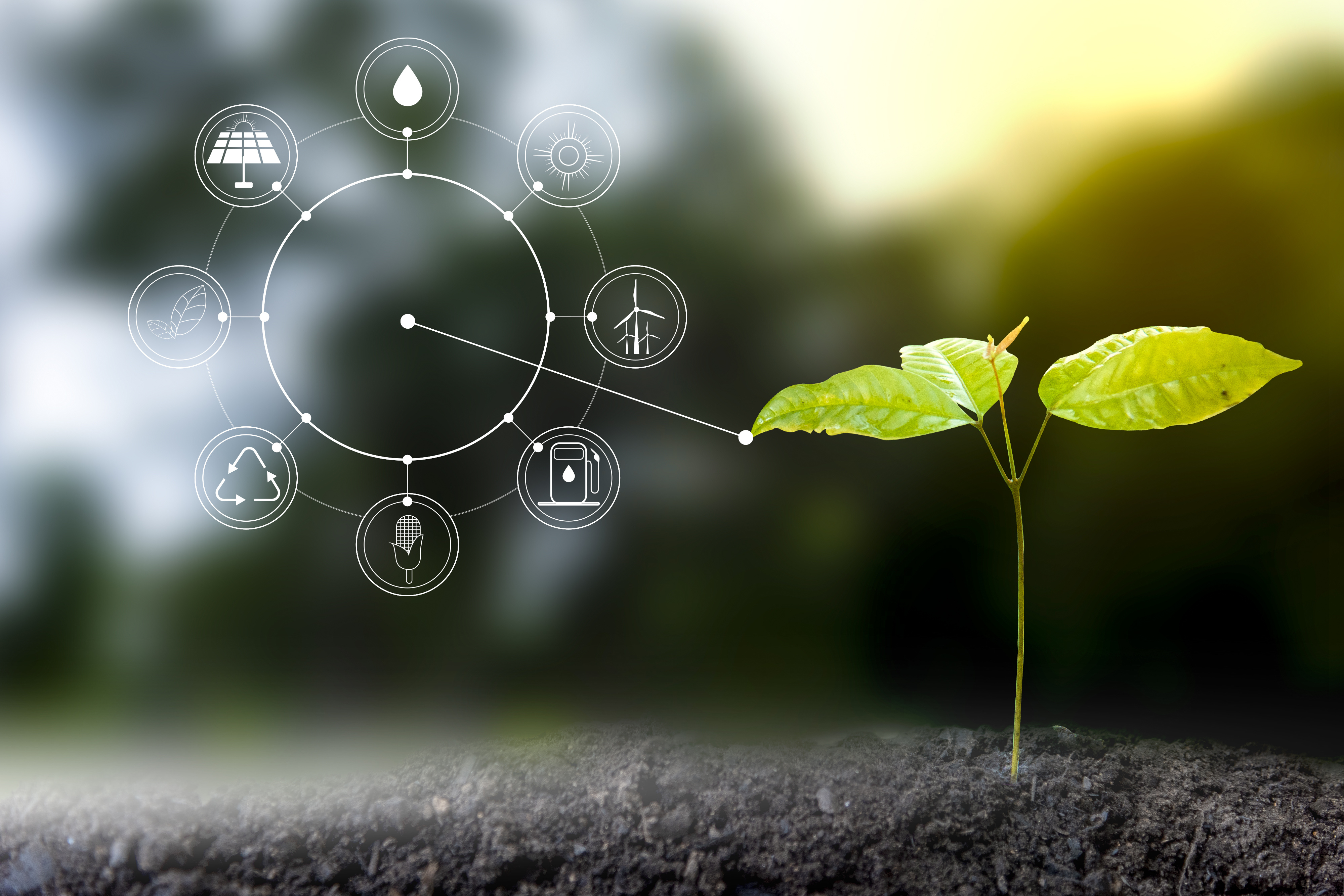 Agriculture durable : 5 start-up rejoignent le Village by CA Nord de France 