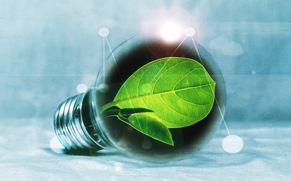 Colruyt va fournir de l’énergie verte aux Belges