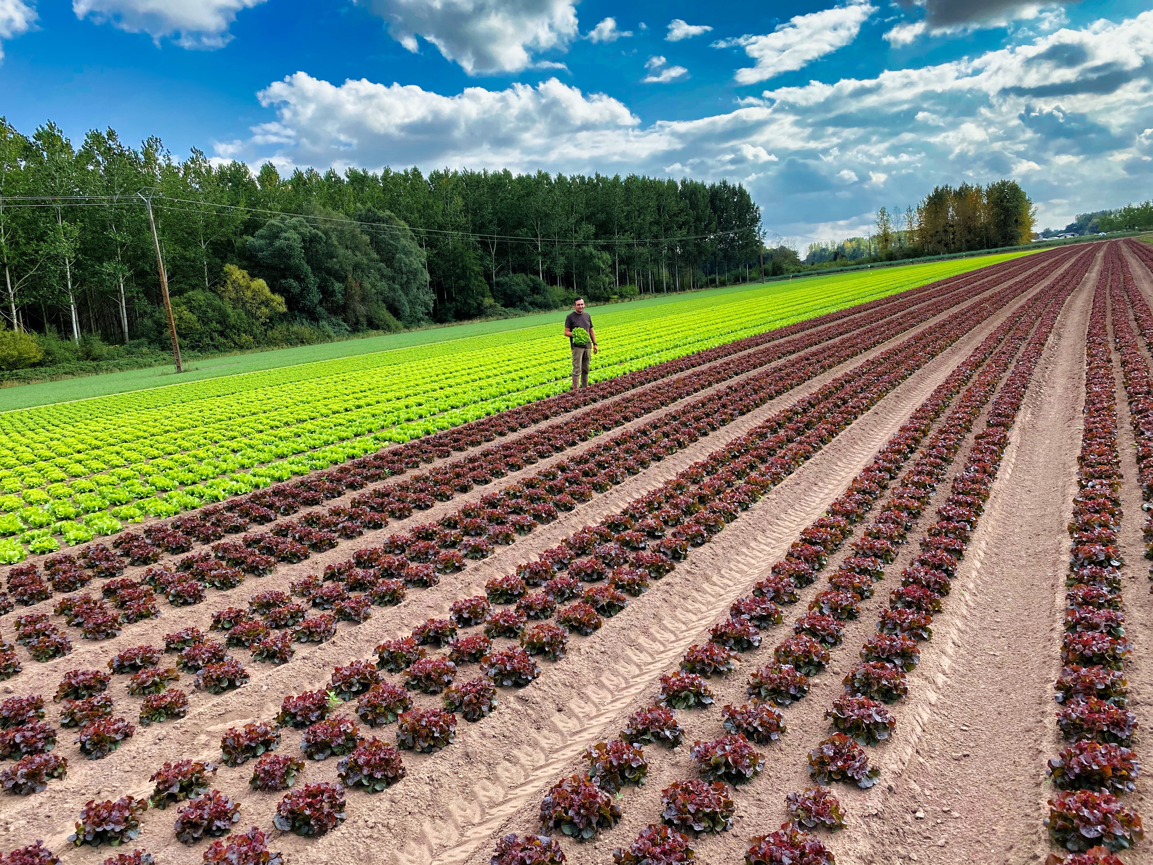 Saône-et-Loire : 270 000 € pour des projets d’alimentation locale et sociale