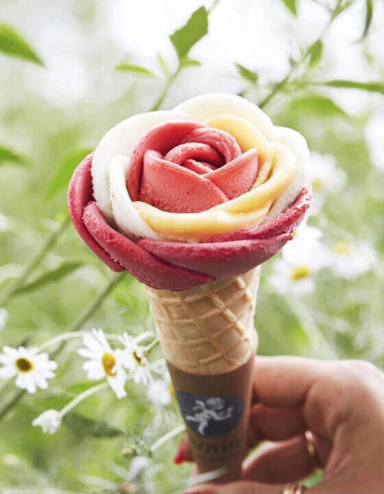 Amorino va ouvrir bientôt une nouvelle antenne à Rouen