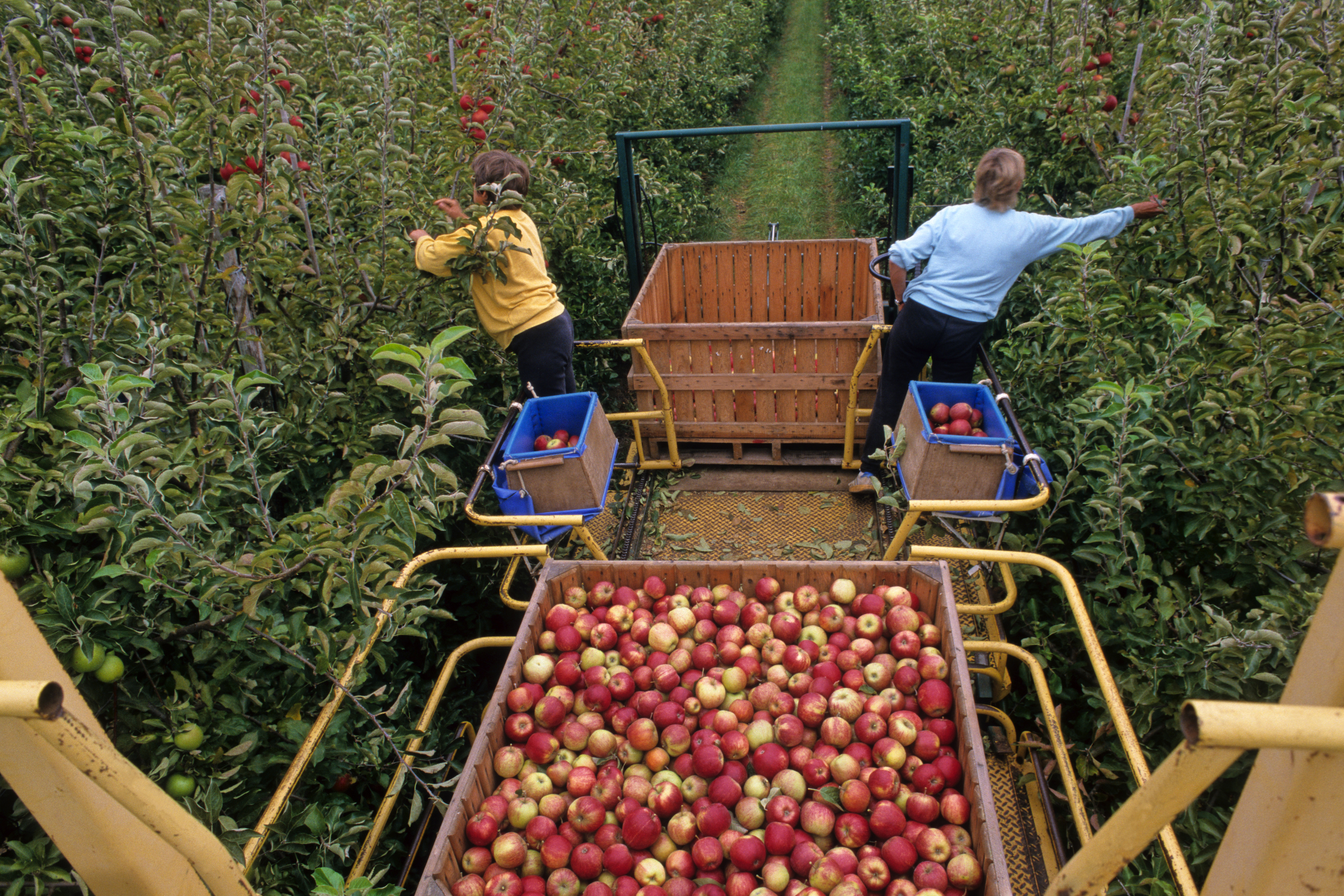 Une aide pour l'hébergement des saisonniers agricoles des Hauts-de-France