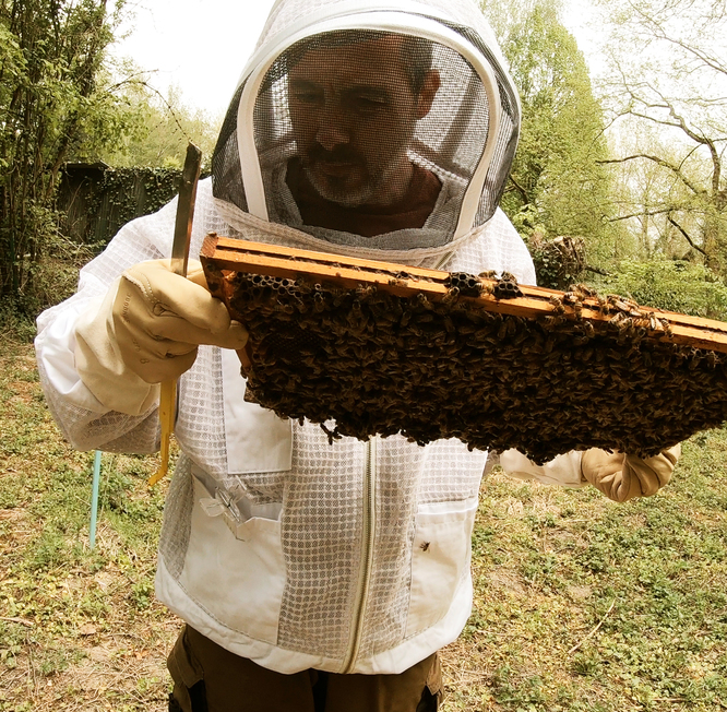 A Berteaucourt-lès-Thennes, Christophe Dupont se reconvertit dans l'apiculture et lance une campagne de crowdfunding