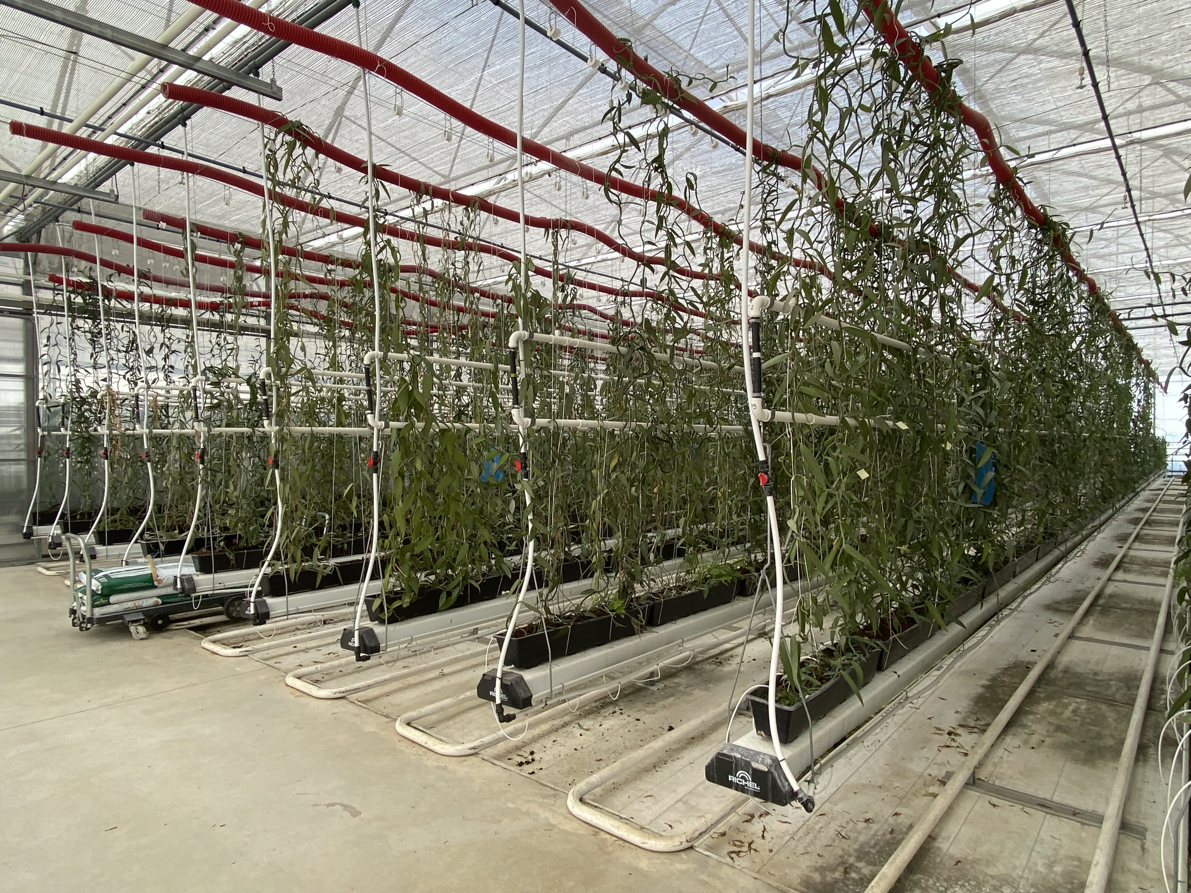 A Gouy-Saint-André, Eurovanille prend un nouvel essor