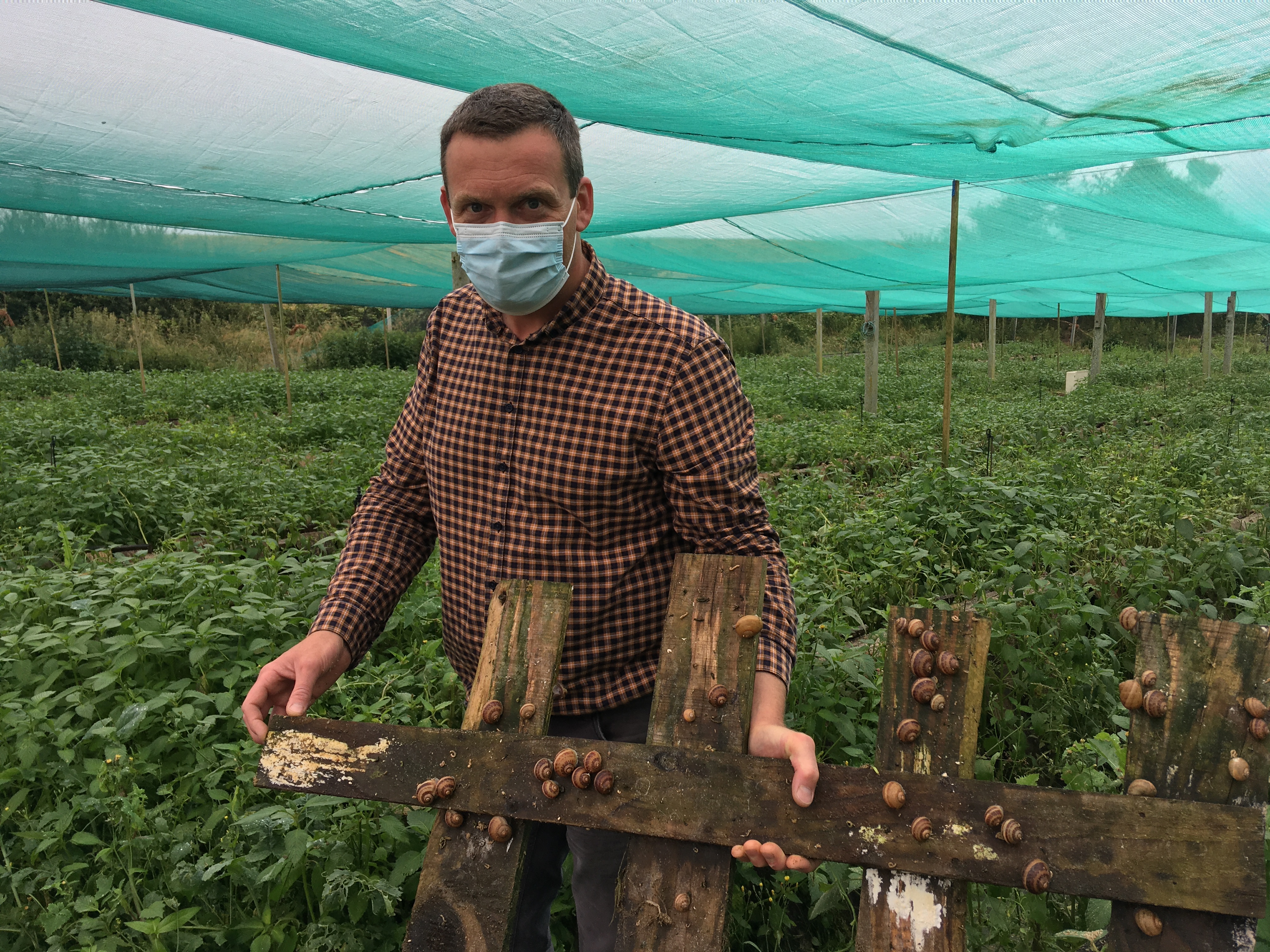 Somme : Saveurs d’escargots, producteur artisan