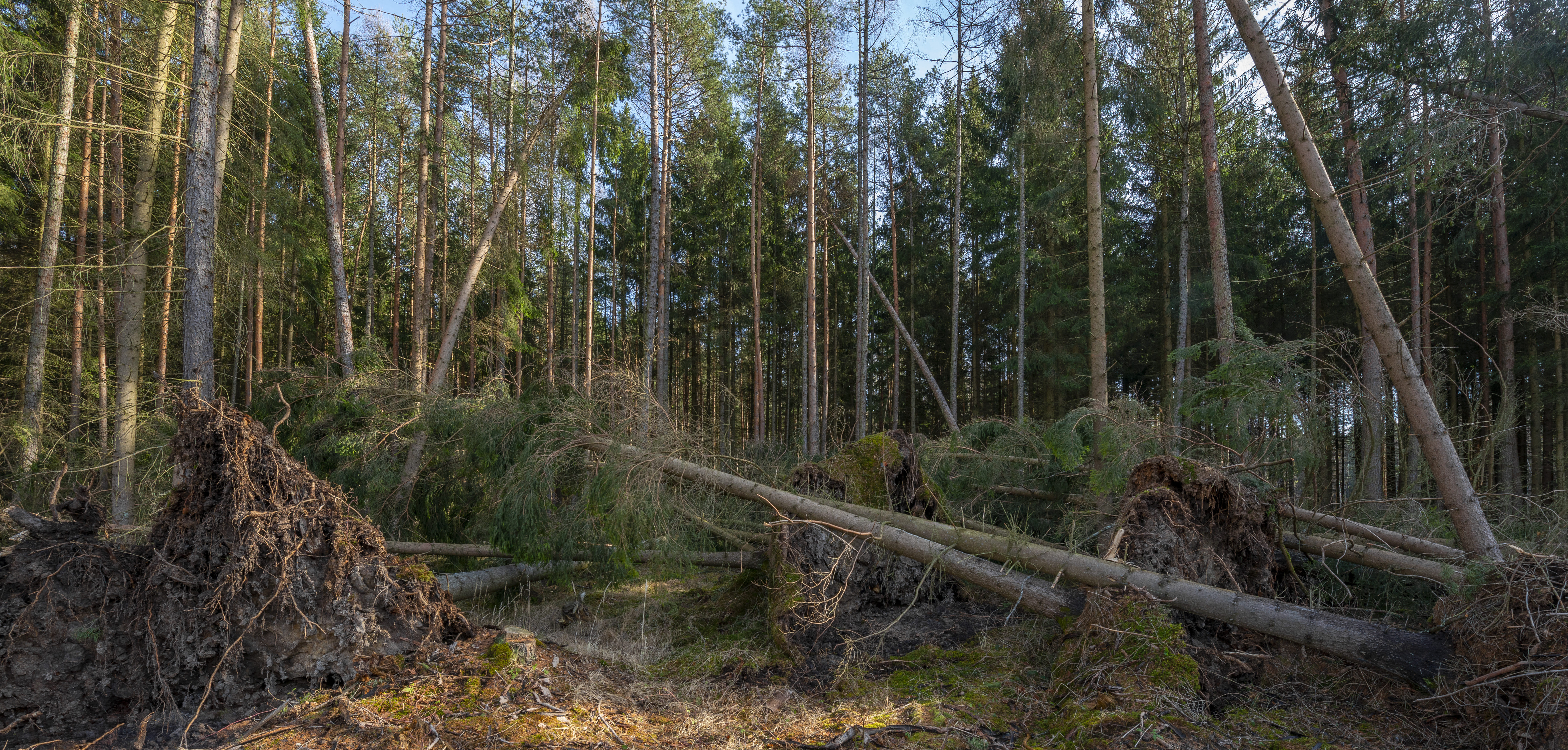 Fermeture provisoire de certains endroits de la Voie Verte à Mâcon