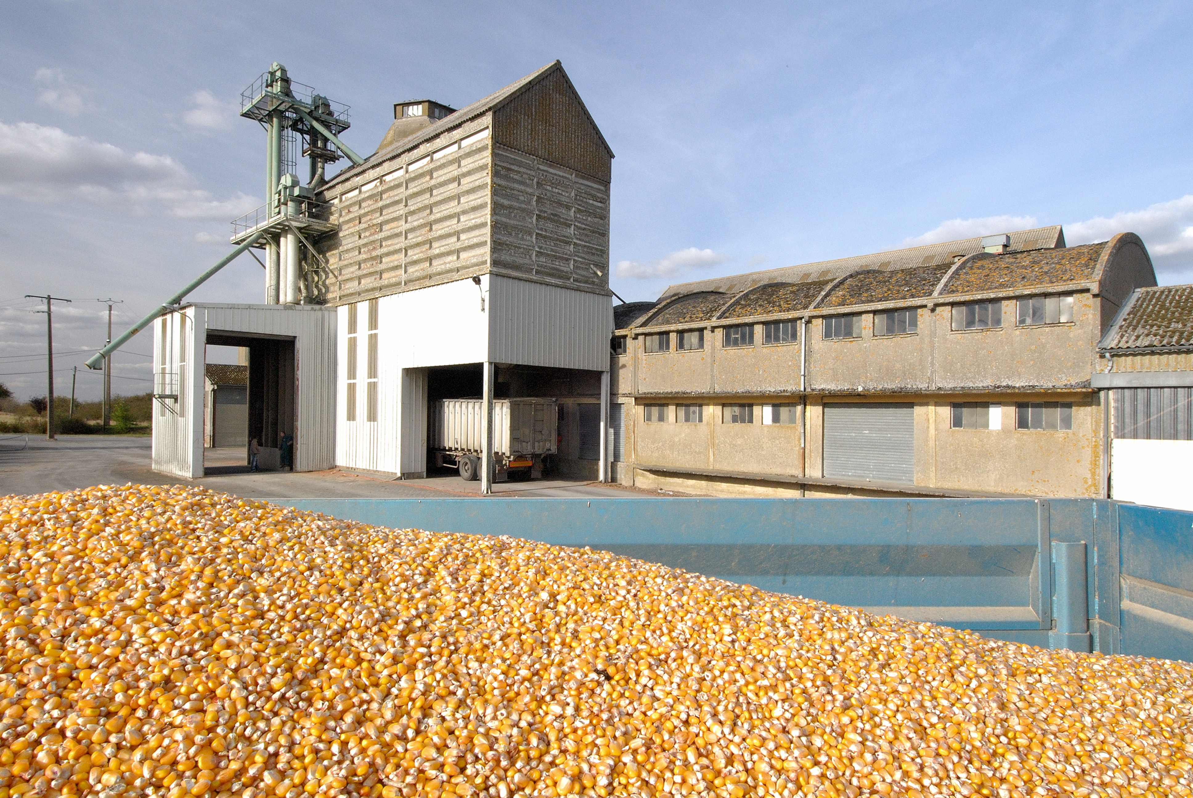 176 entreprises ont adopté la qualité de société à mission en deux ans