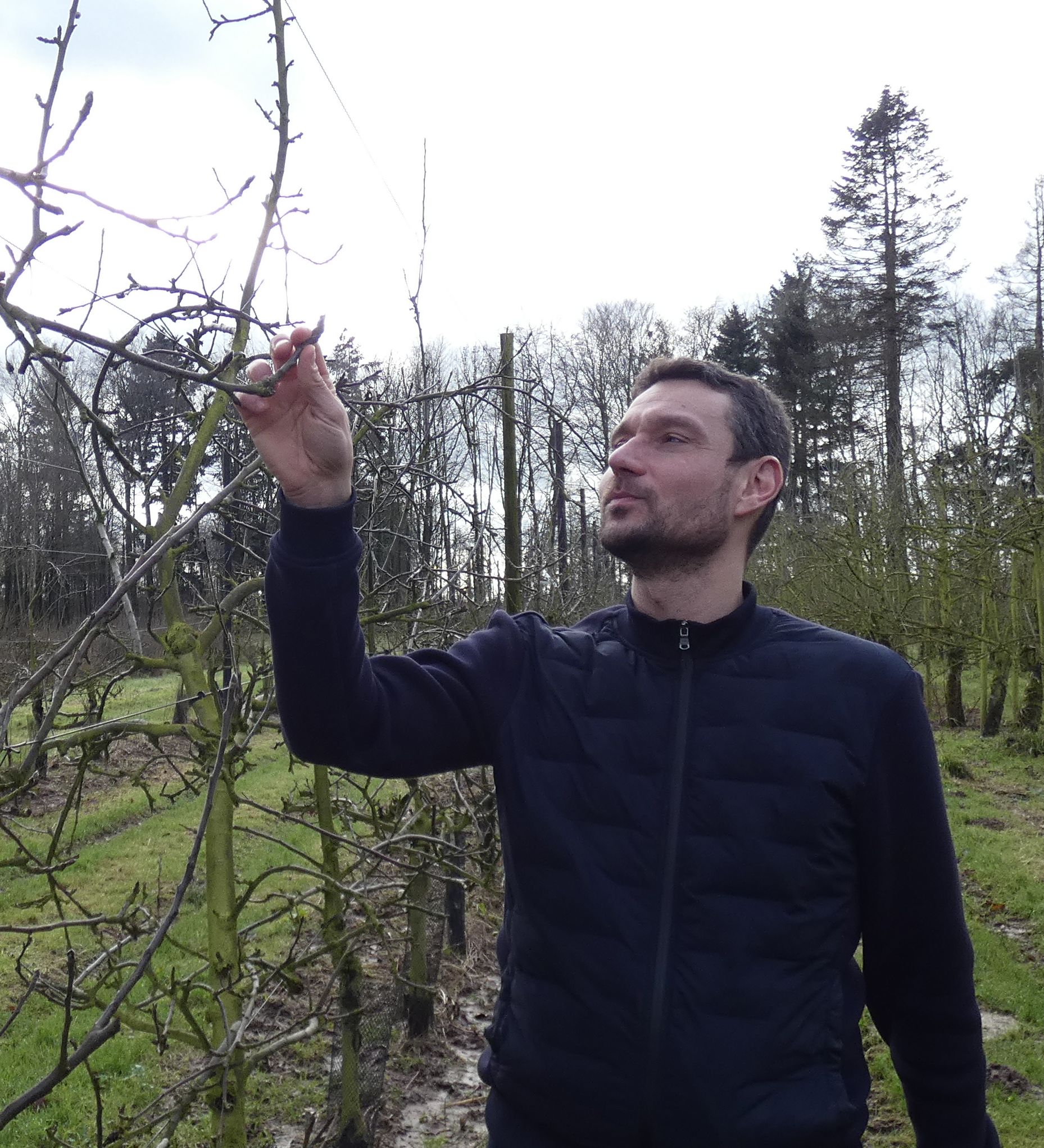 Spécialiste des pommes et poires, T&B Vergers chouchoute la nature et les hommes !