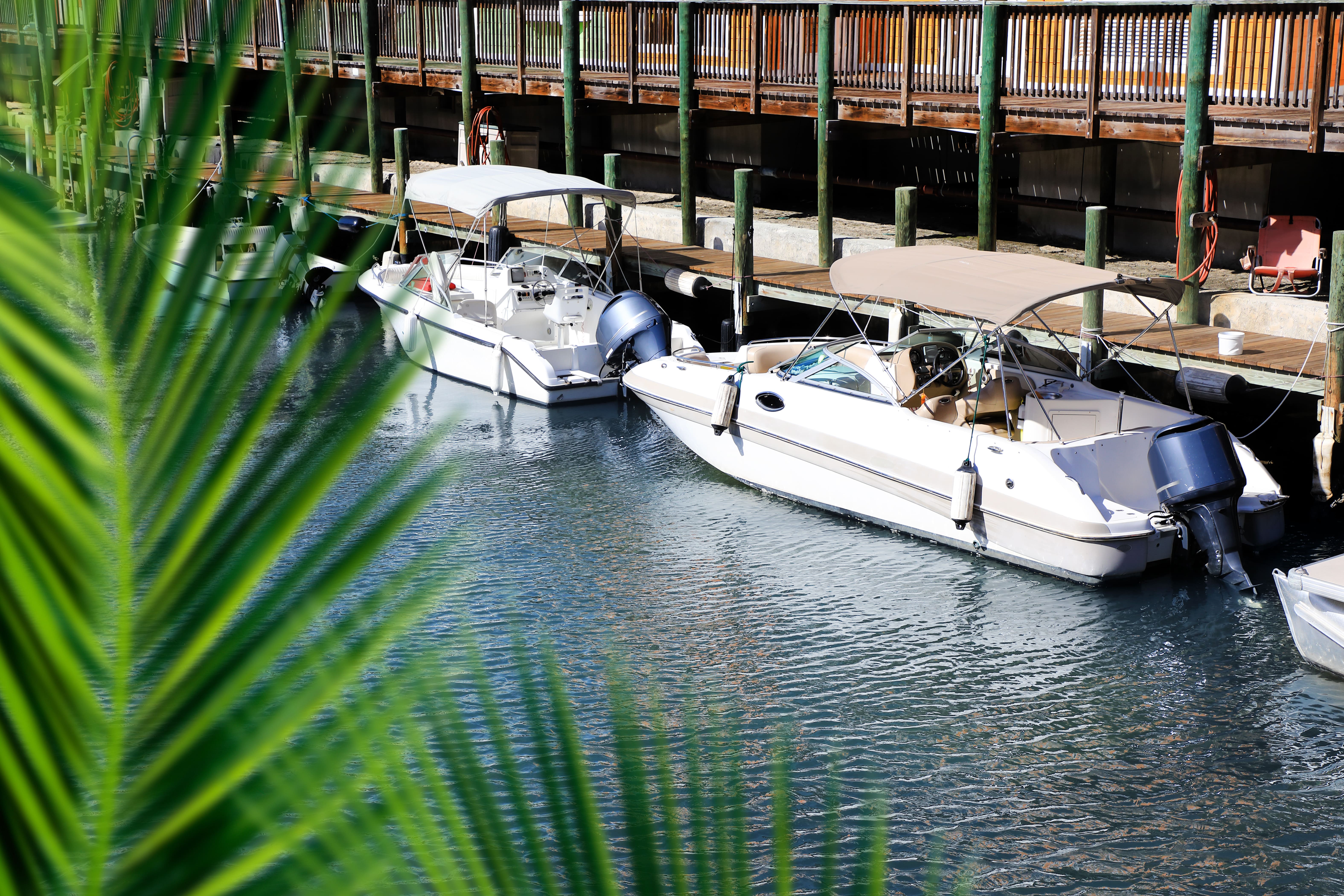 Chalon-sur-Saône : Inauguration du ponton de Manon