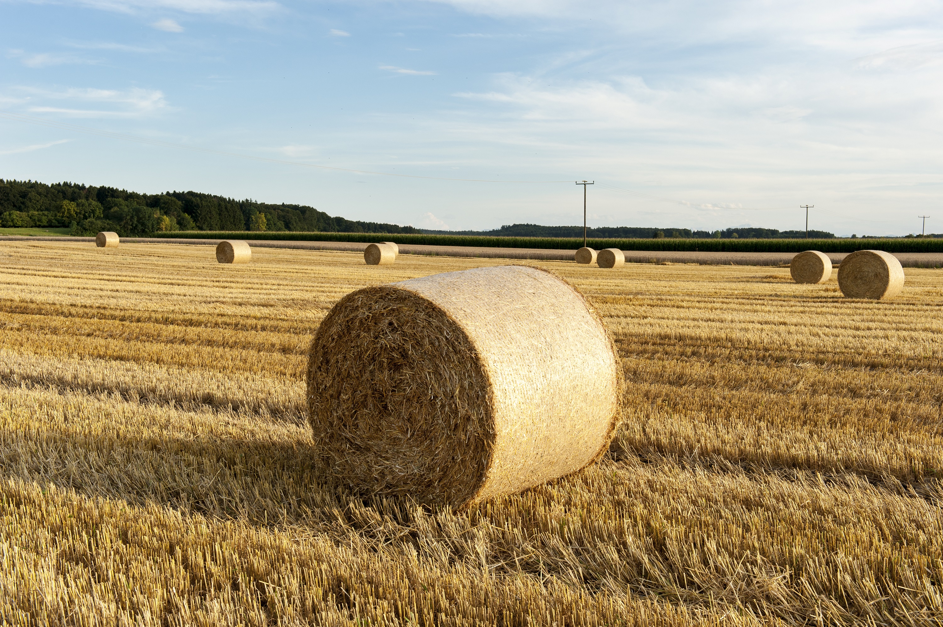Deux étudiantes d'UniLaSalle veulent créer des filets agricoles biodégradables et comestibles