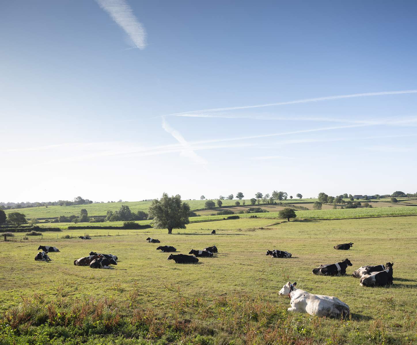 Six Projets alimentaires territoriaux supplémentaires dans les Hauts-de-France