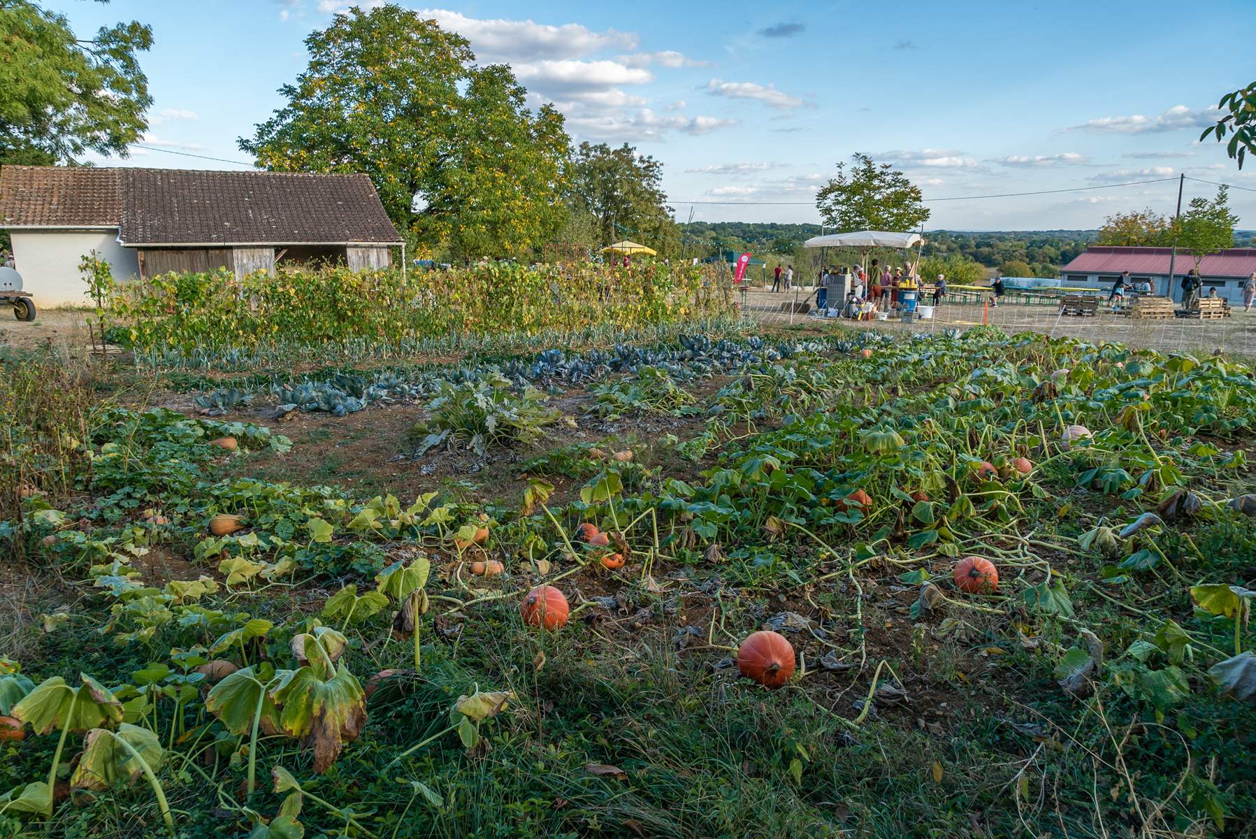 Hauts-de-France : le Forum des financeurs de la bio se tiendra le 7 septembre