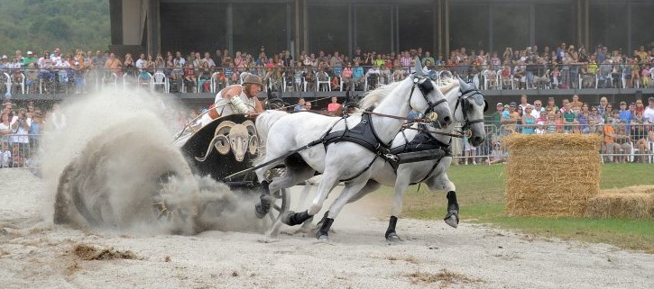 Rendez-vous aux Vita Romana à Bliesbruck