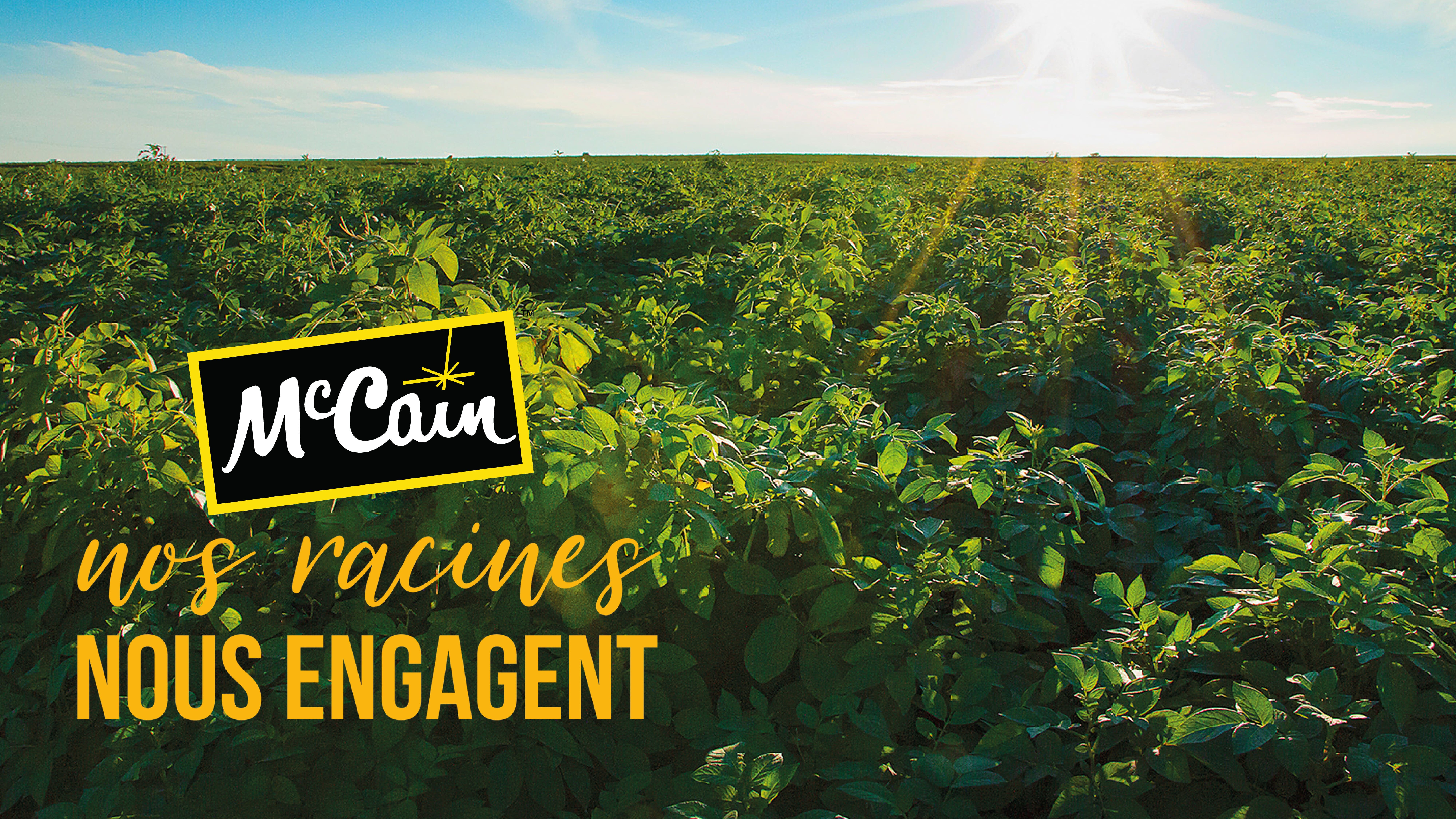 McCain lance un programme de développement durable ambitieux pour l'Europe