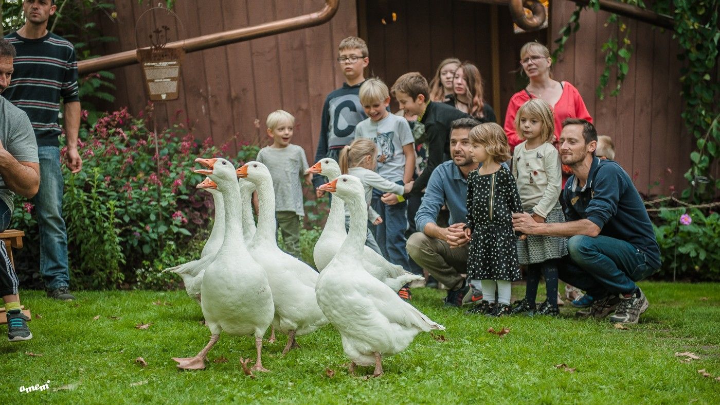 Bitche : le marché paysan bientôt de retour au Jardin pour la Paix 