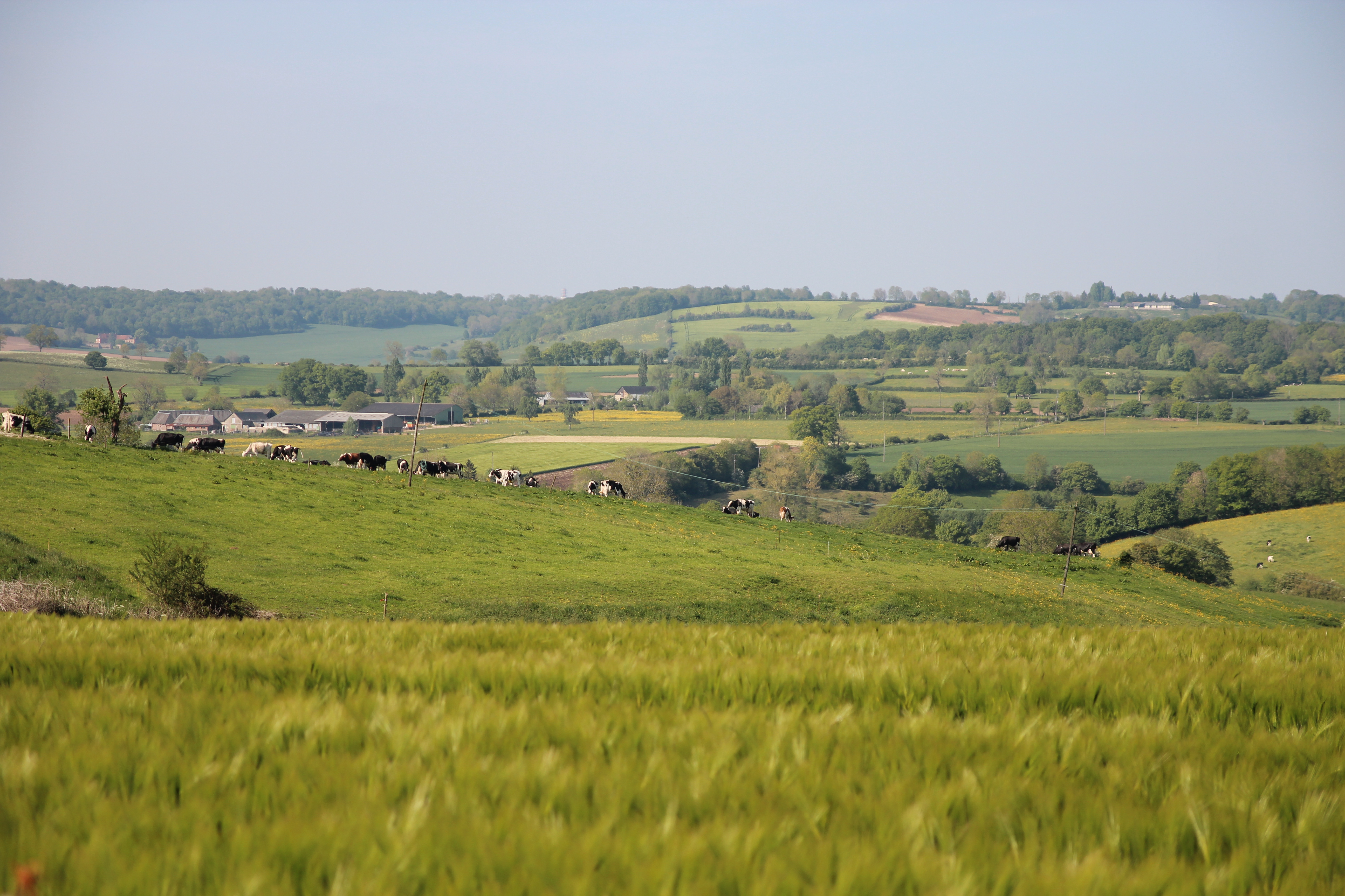 Terra Terre, le stockage de carbone près de chez vous