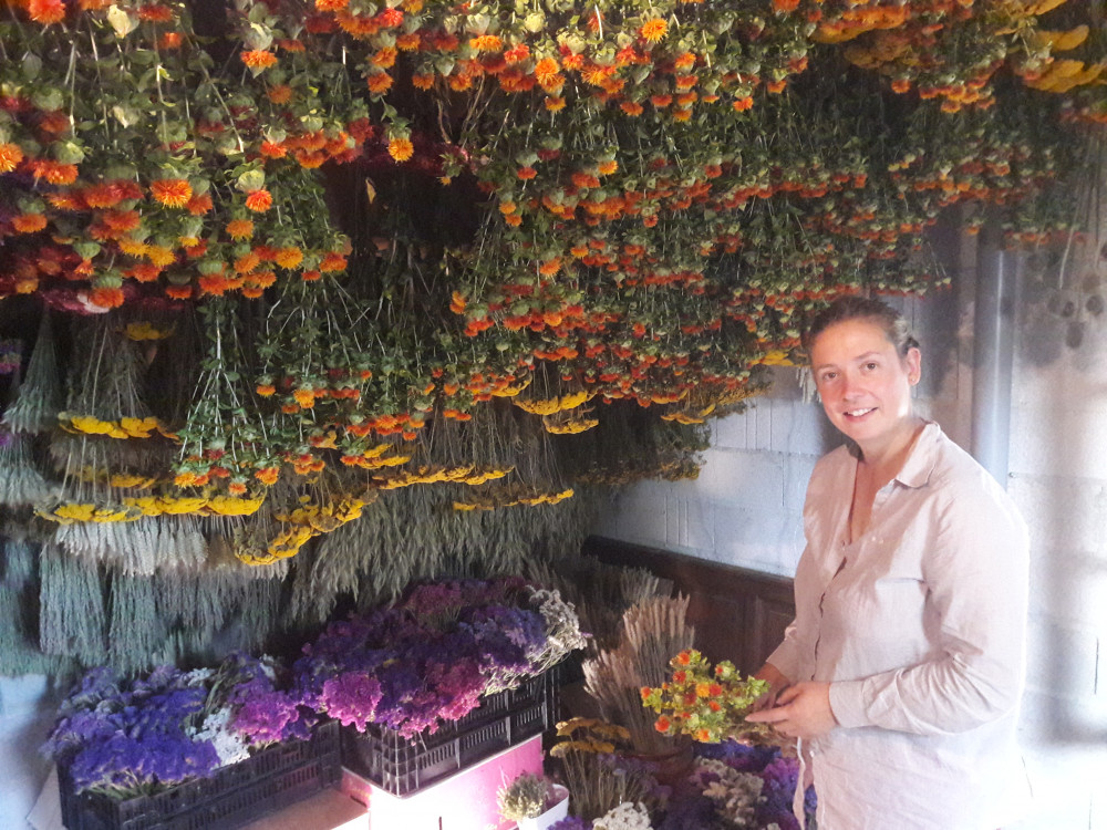 « Les Immortelles » fleurs séchées de Joséphine Mullet dans l'Oise