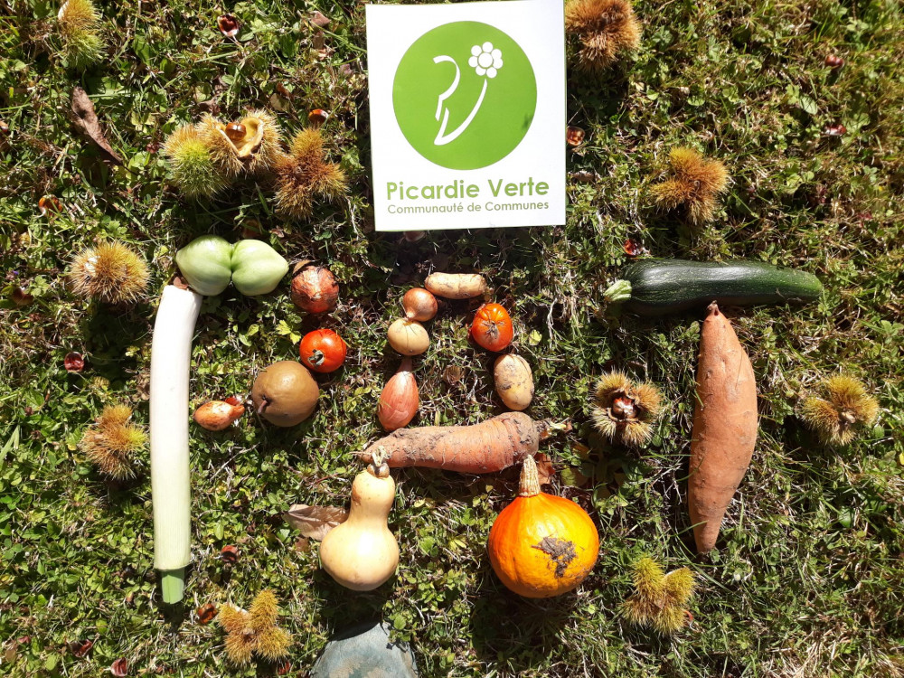 Un PAT pour relocaliser et manger davantage bio en Picardie verte