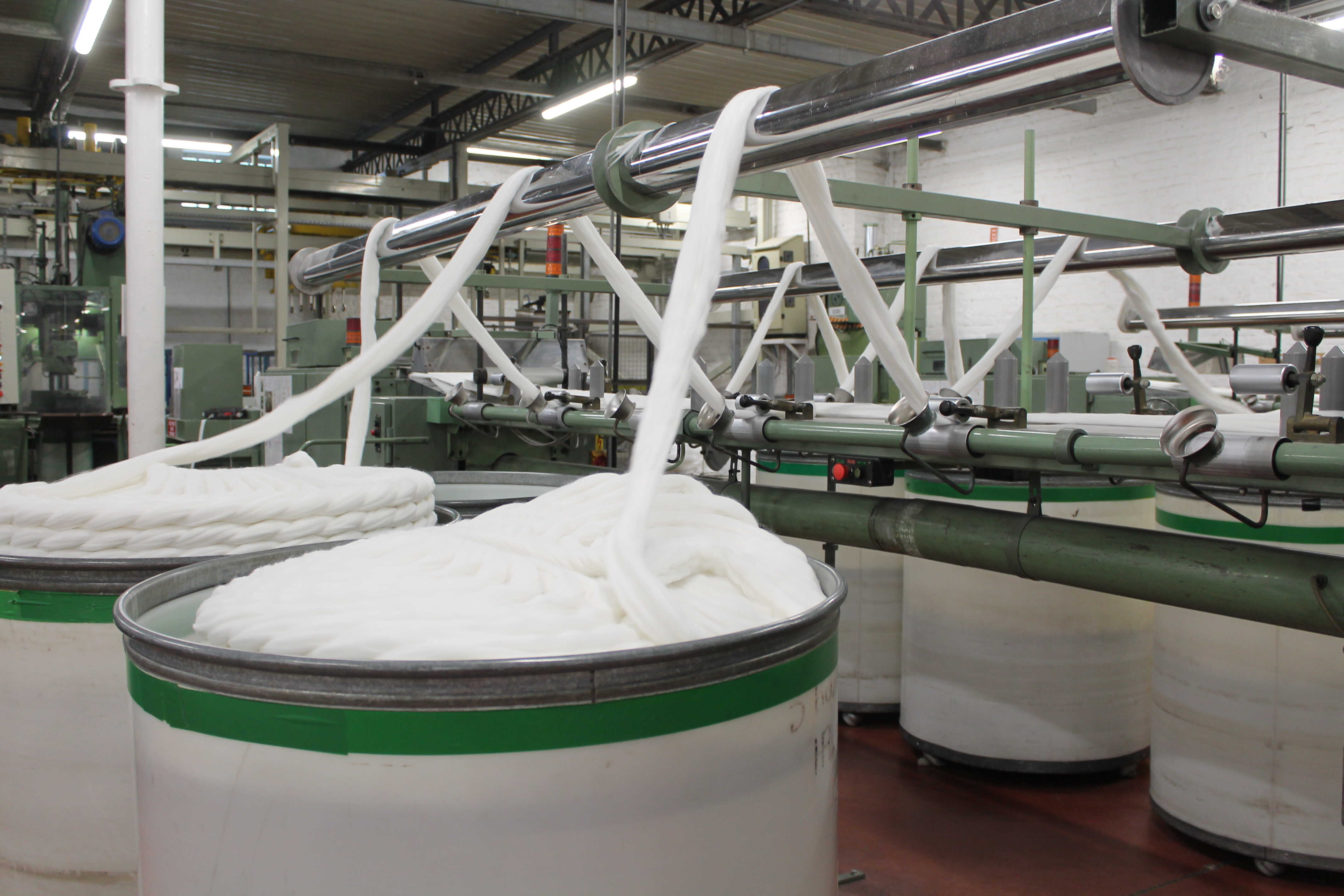 Peignage Dumortier fait le pari du made in France rentable et accessible