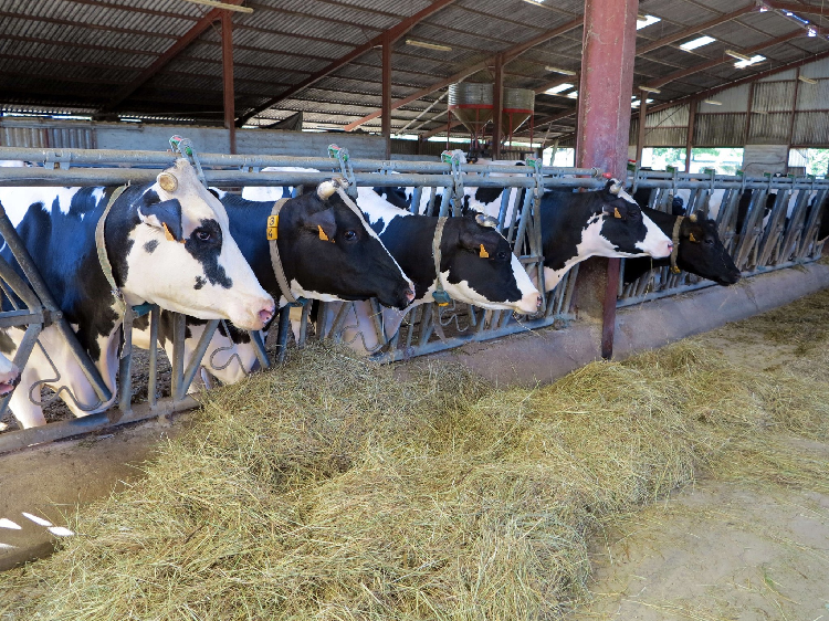 Journées portes ouvertes bas carbone dans la Meuse les 23 et 24 novembre 