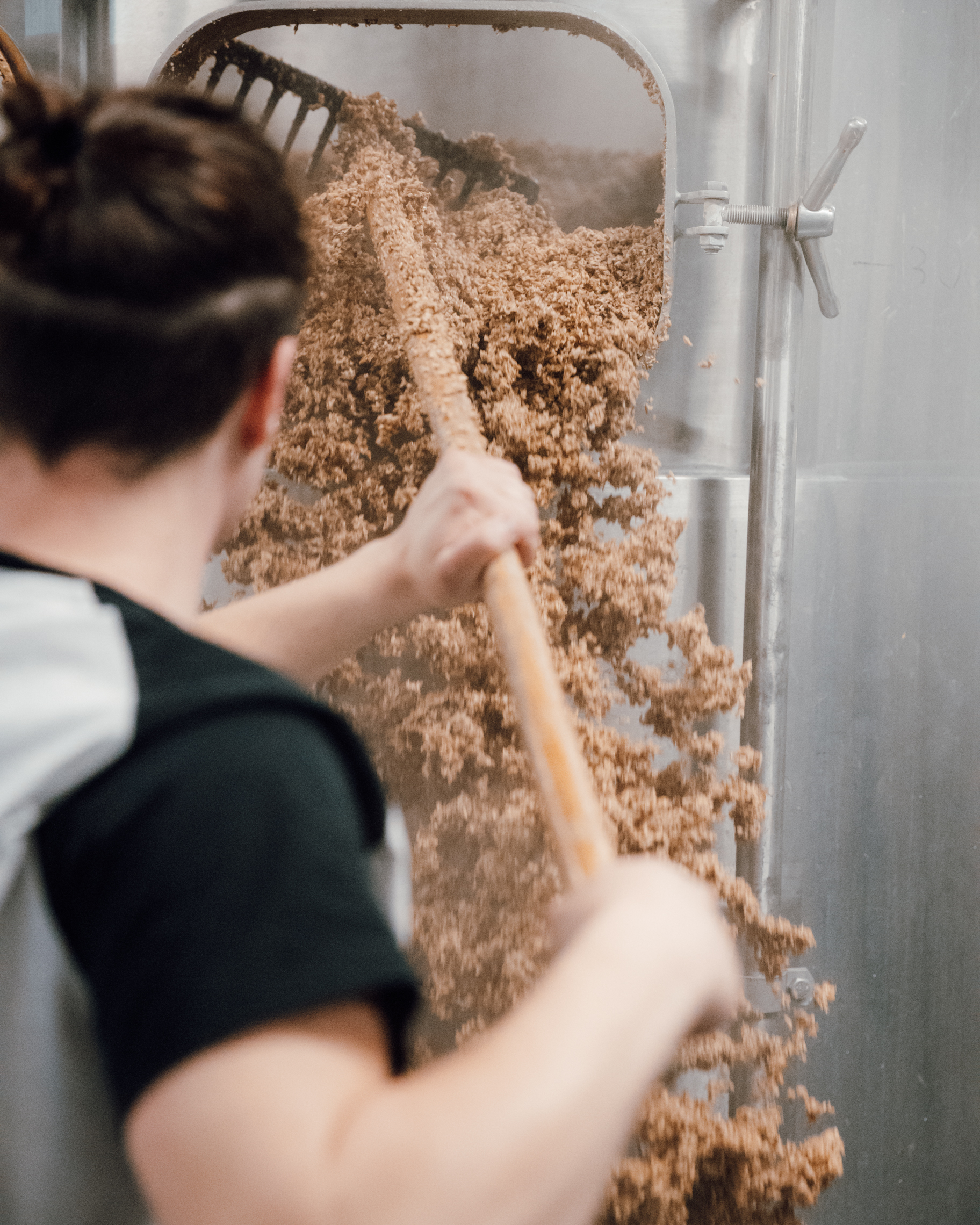 La Brasserie du pays flamand : entre modernité et traditions brassicoles