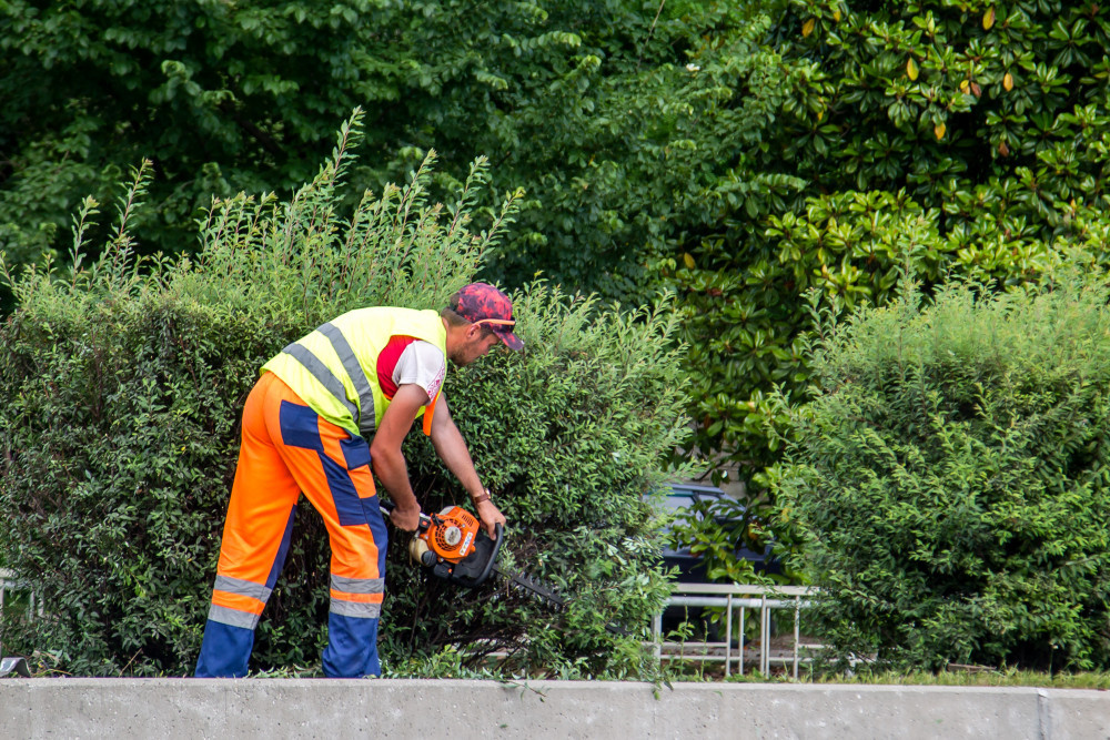 Des indicateurs au vert pour les entreprises du paysage des Hauts-de-France