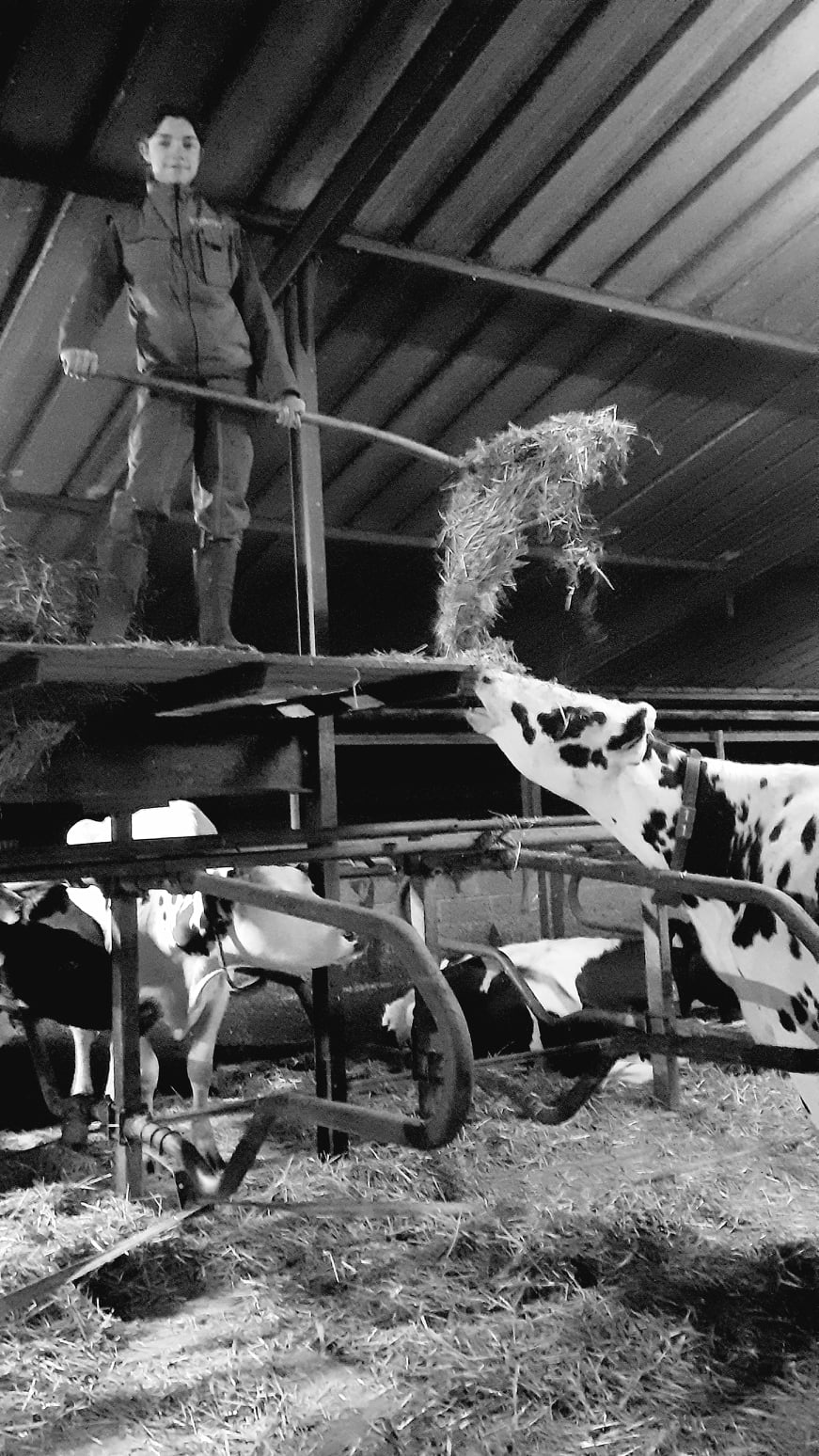 «Femmes et agriculture» loin des clichés