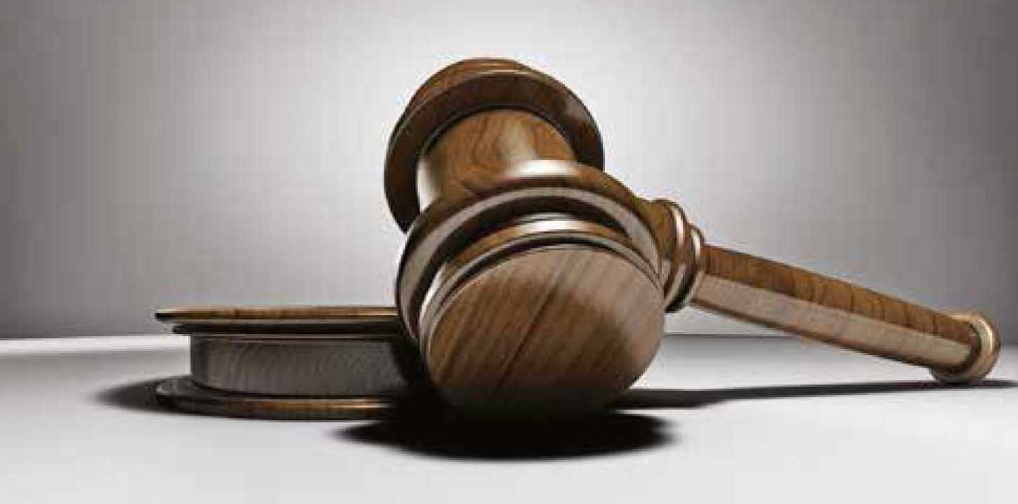  Entreprises et cotisations sociales  : du côté des tribunaux