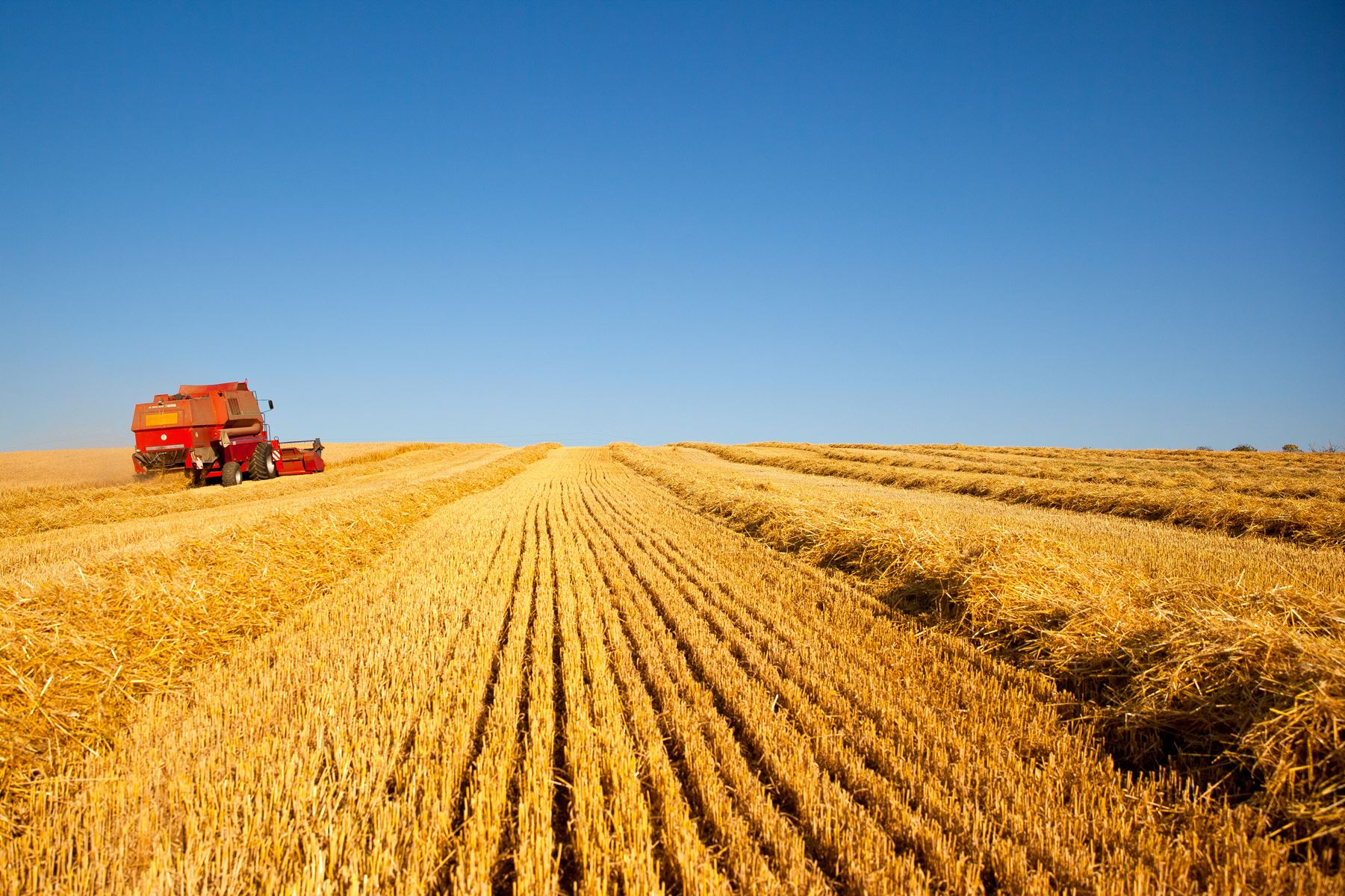 La FNSEA avance ses propositions pour une agriculture viable