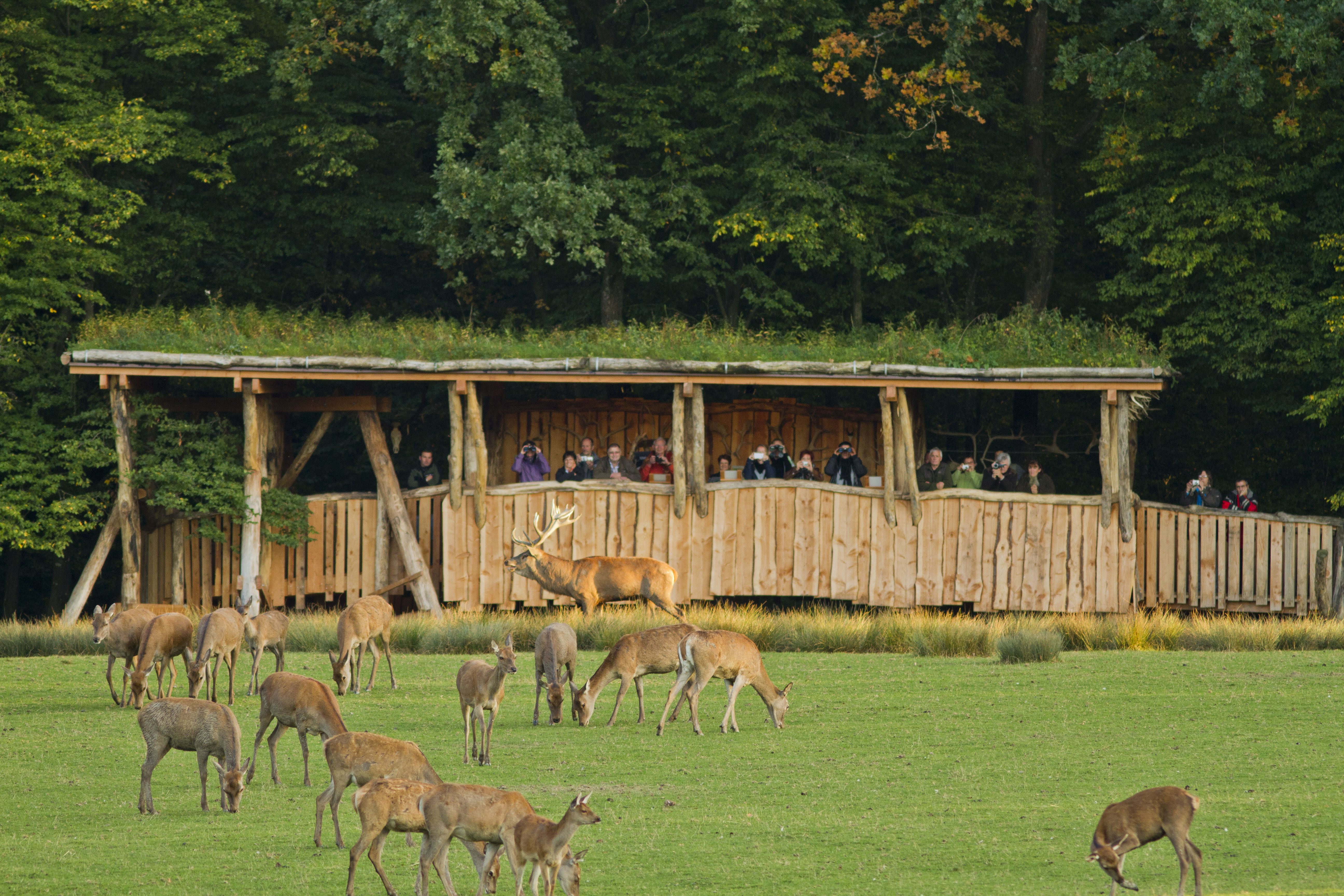 Le parc animalier de Sainte-Croix recrute ses saisonniers pour 2022 
