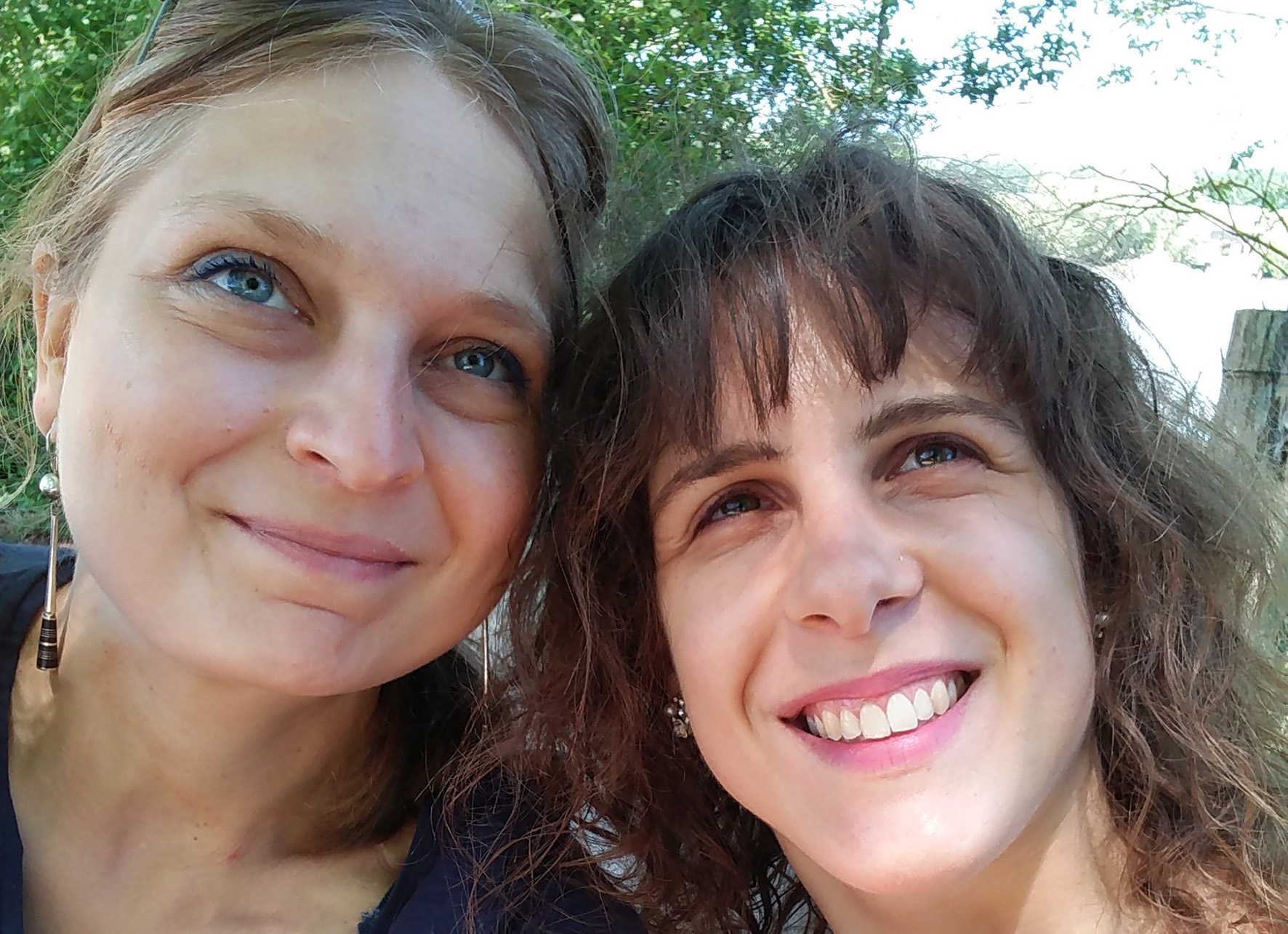  Frugali : la conviction des transitions...