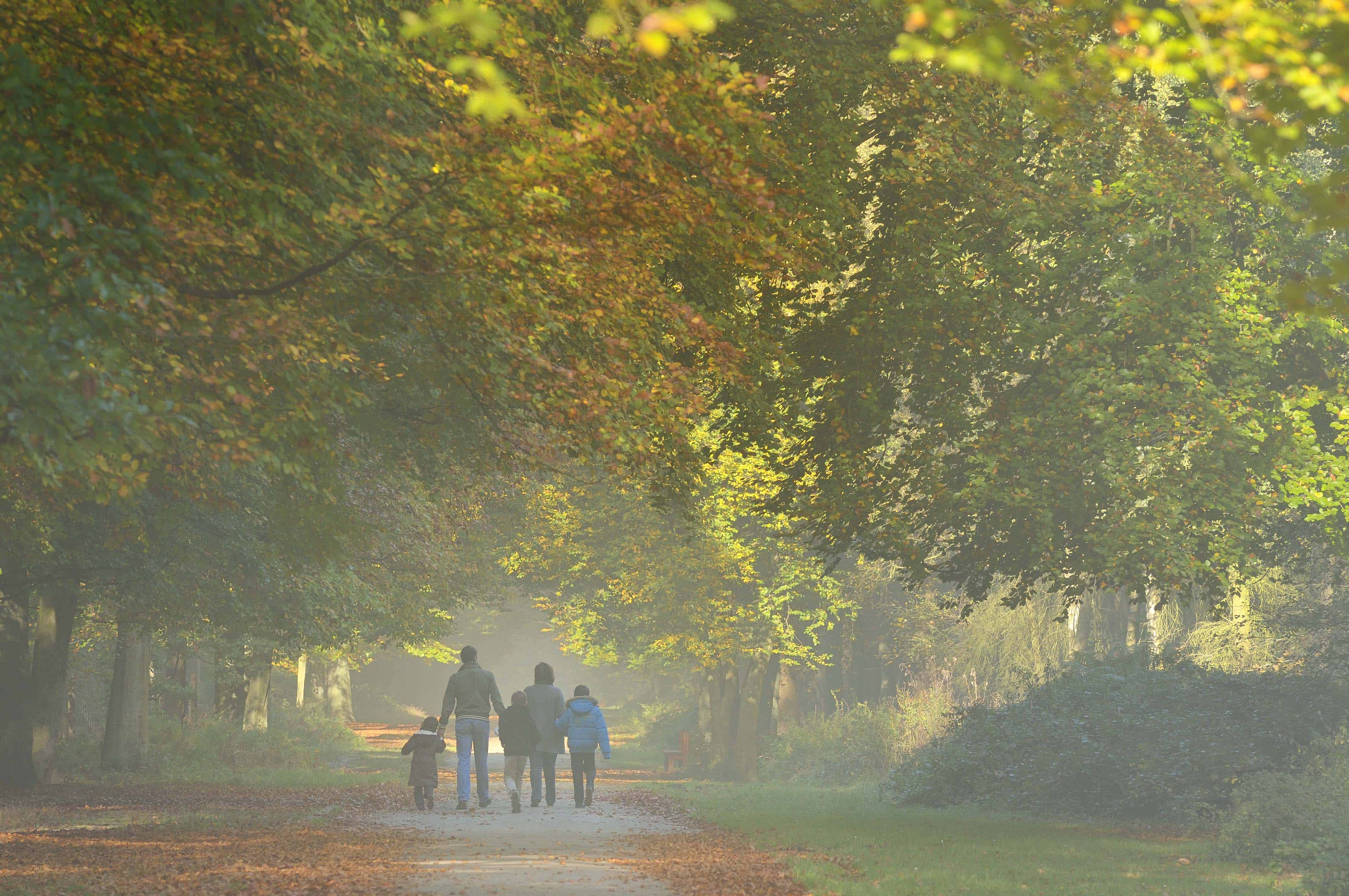 Avec l'ONF, la Métropole Rouen Normandie veut protéger et valoriser son patrimoine forestier