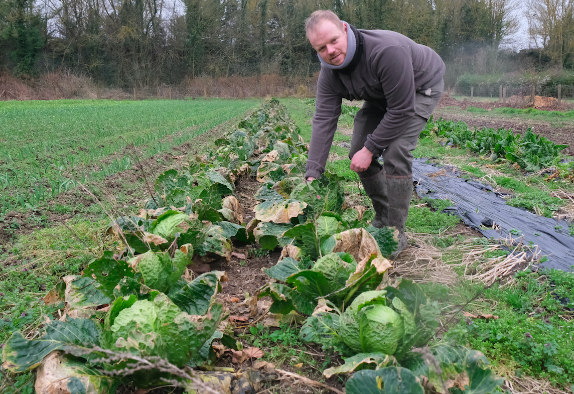 Terre de Liens et la ville de Longueau soutiennent l'agriculture bio