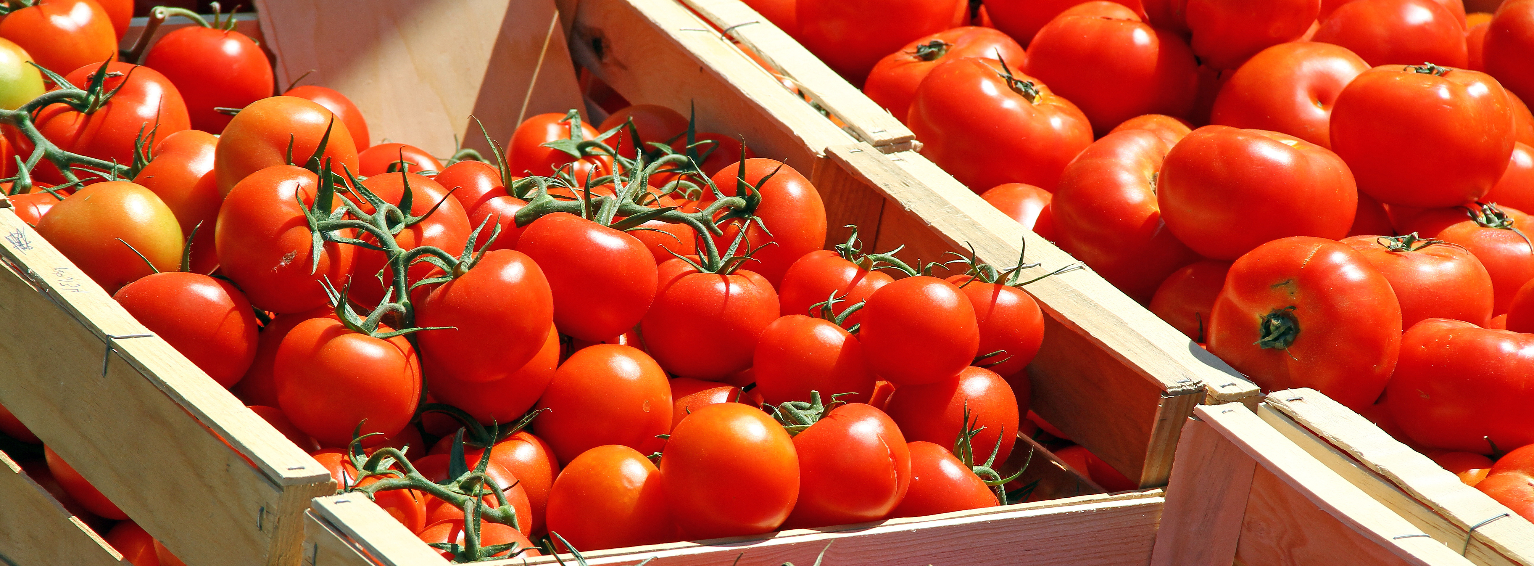 Le Projet Alimentaire Territorial a été lancé