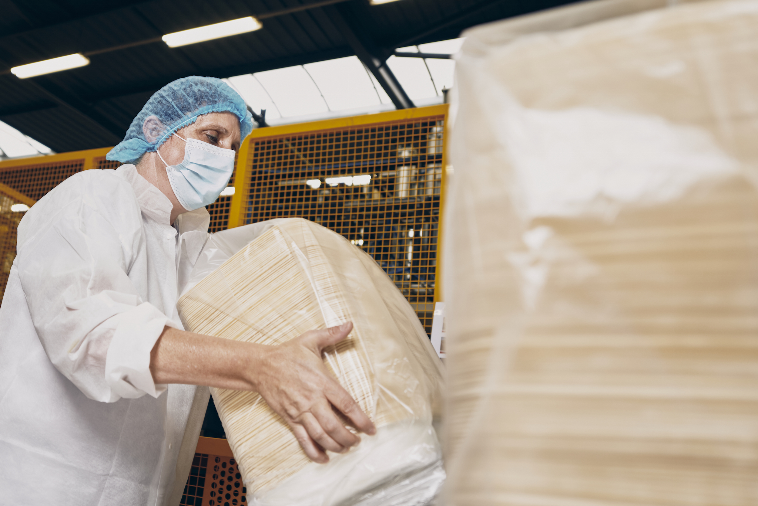 A Flines-lez-Raches, Impact Group voit la vie… en vert  