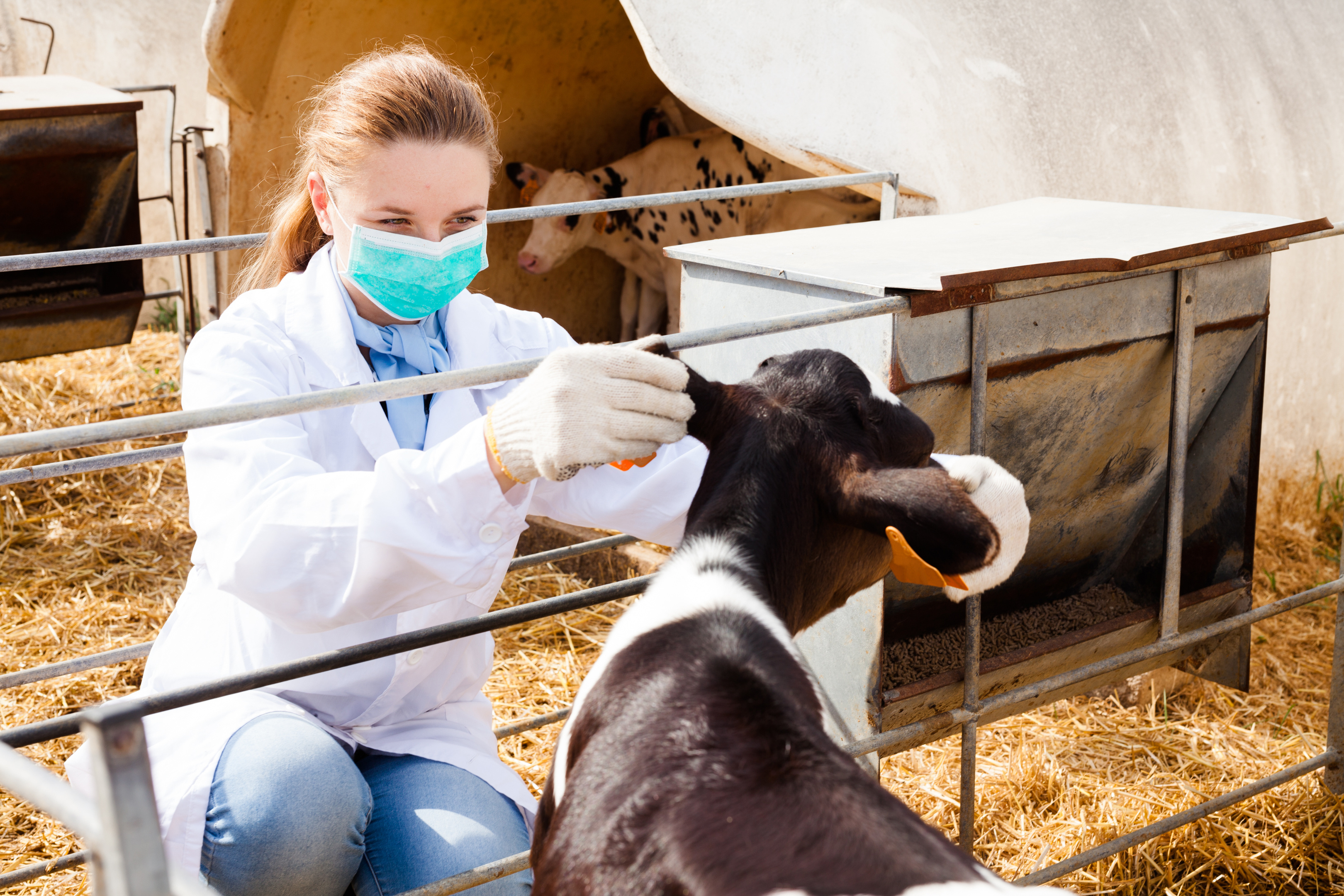 Rouen : UniLaSalle ouvrira une école vétérinaire en septembre 2022 