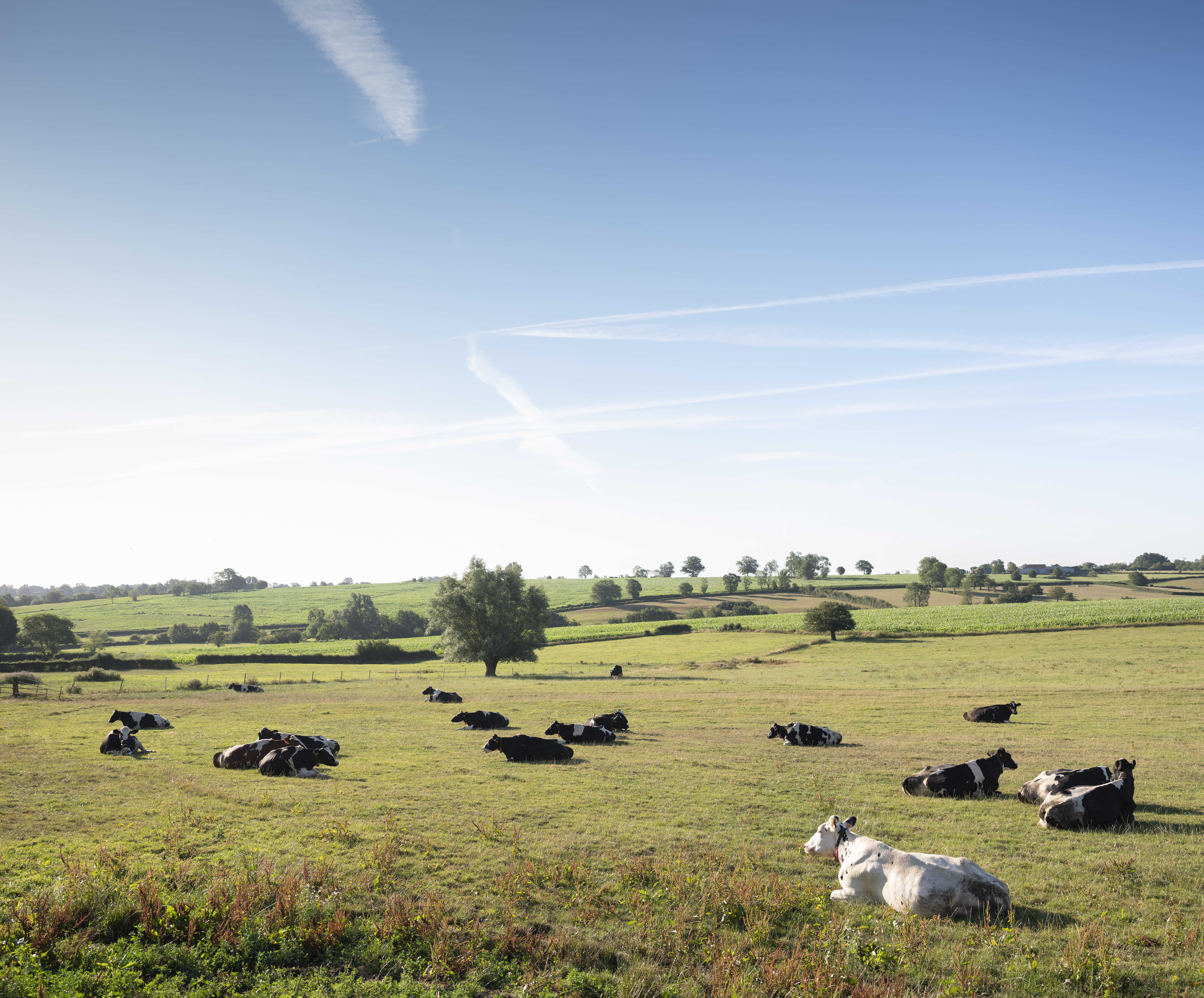 Le modèle agricole français peut-il être sauvé ?
