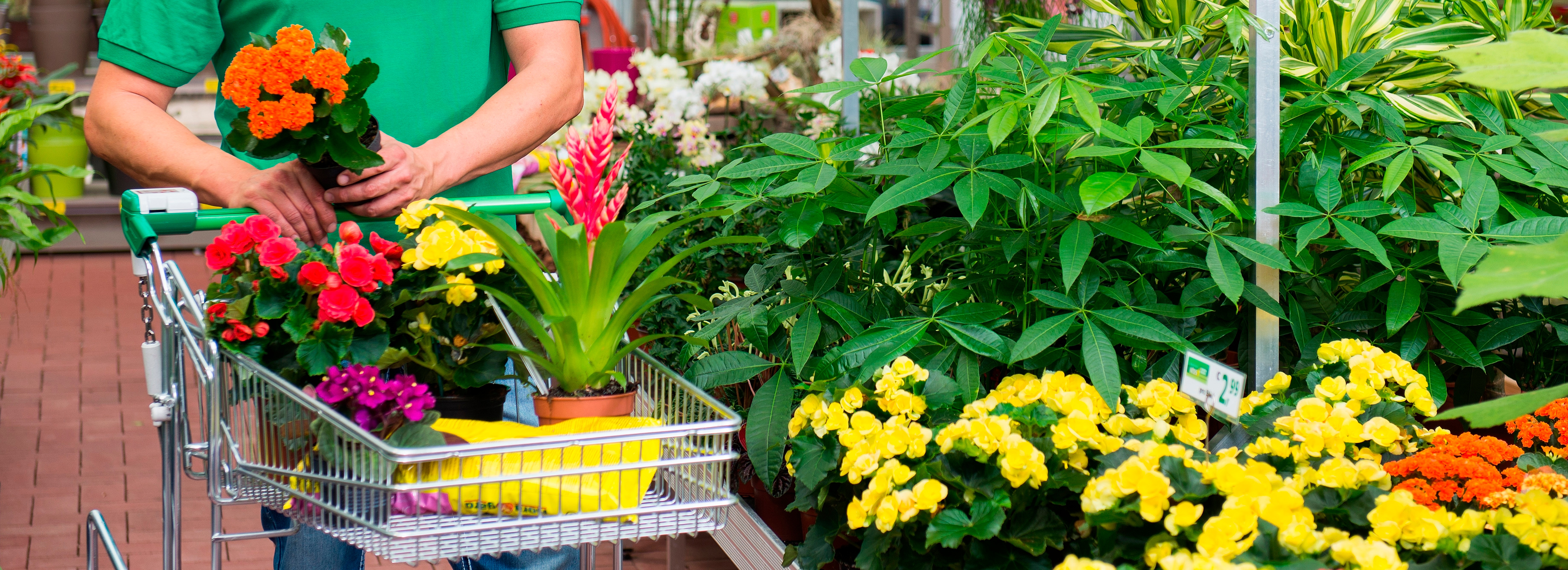 Cléon : la jardinerie Desjardins ouvre ses portes le 18 mars prochain