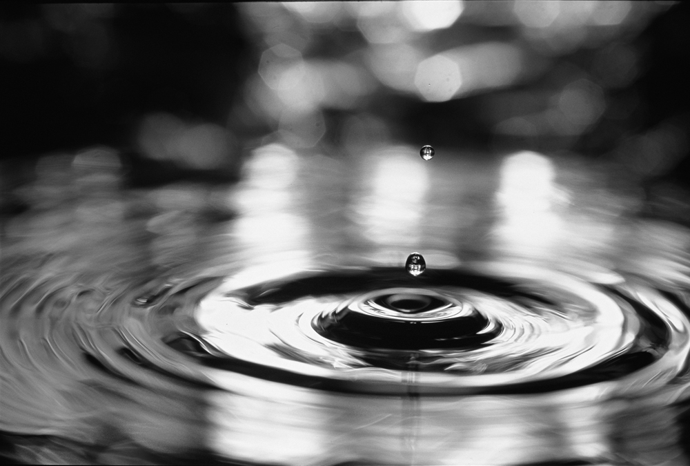 Une journée dédiée à l’environnement à Pont-à-Mousson 