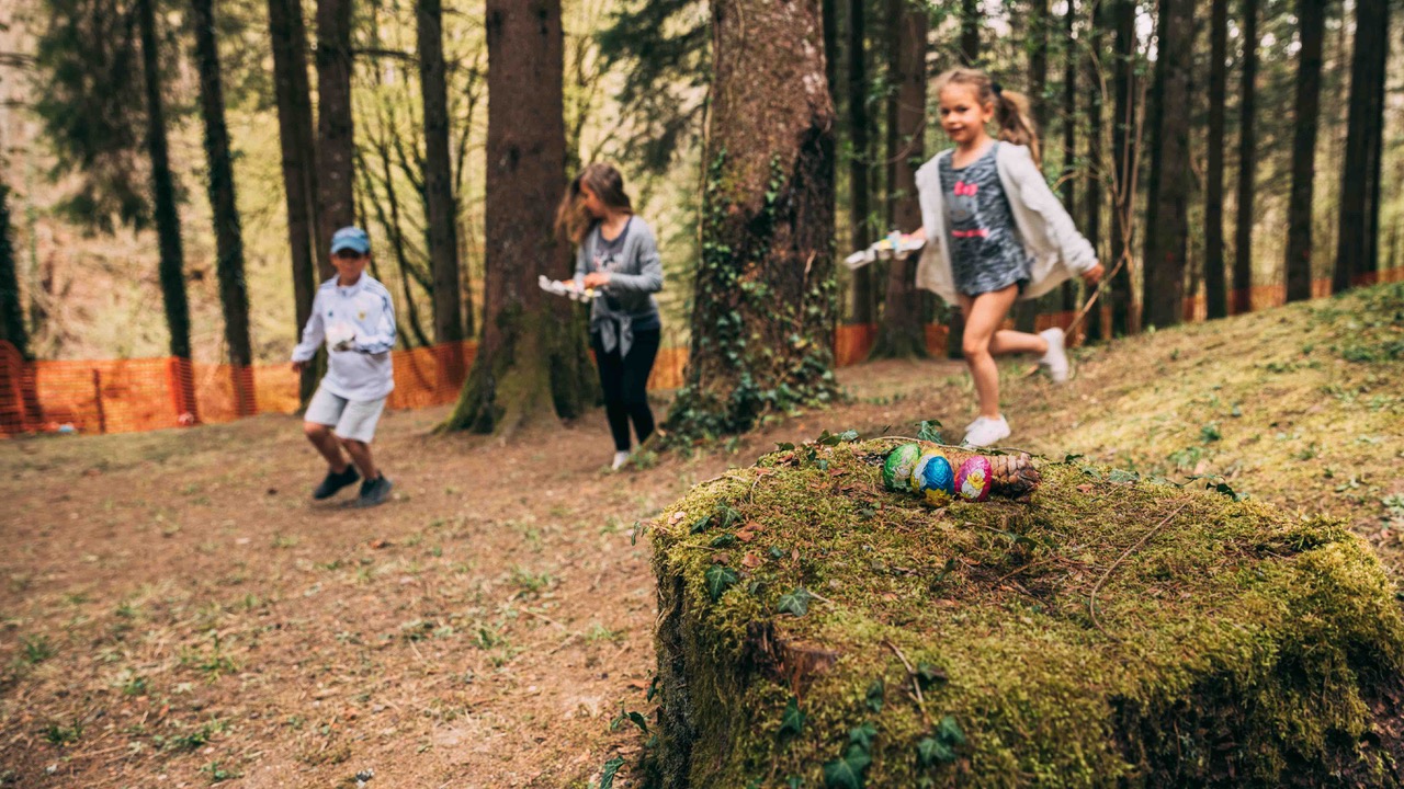 Dino-Zoo organisera bientôt la plus grande chasse aux œufs de Pâques de la région