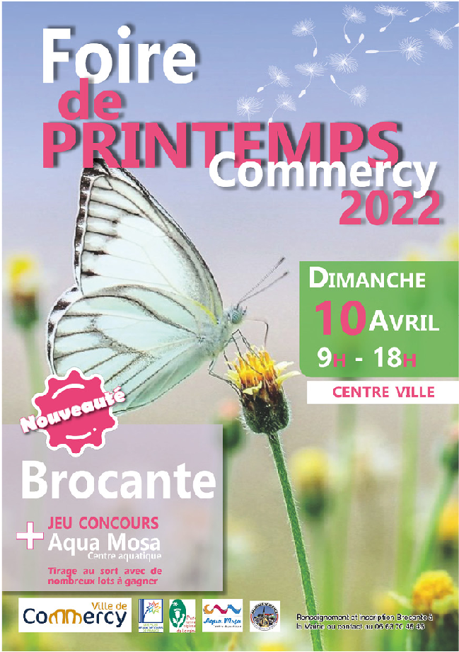 Commercy : la Foire de printemps s'est délocalisée sur la place Charles de Gaulle