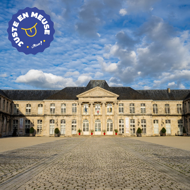 Commercy : un espace de loisirs s'implante à la place de la piscine des Tilleuls  