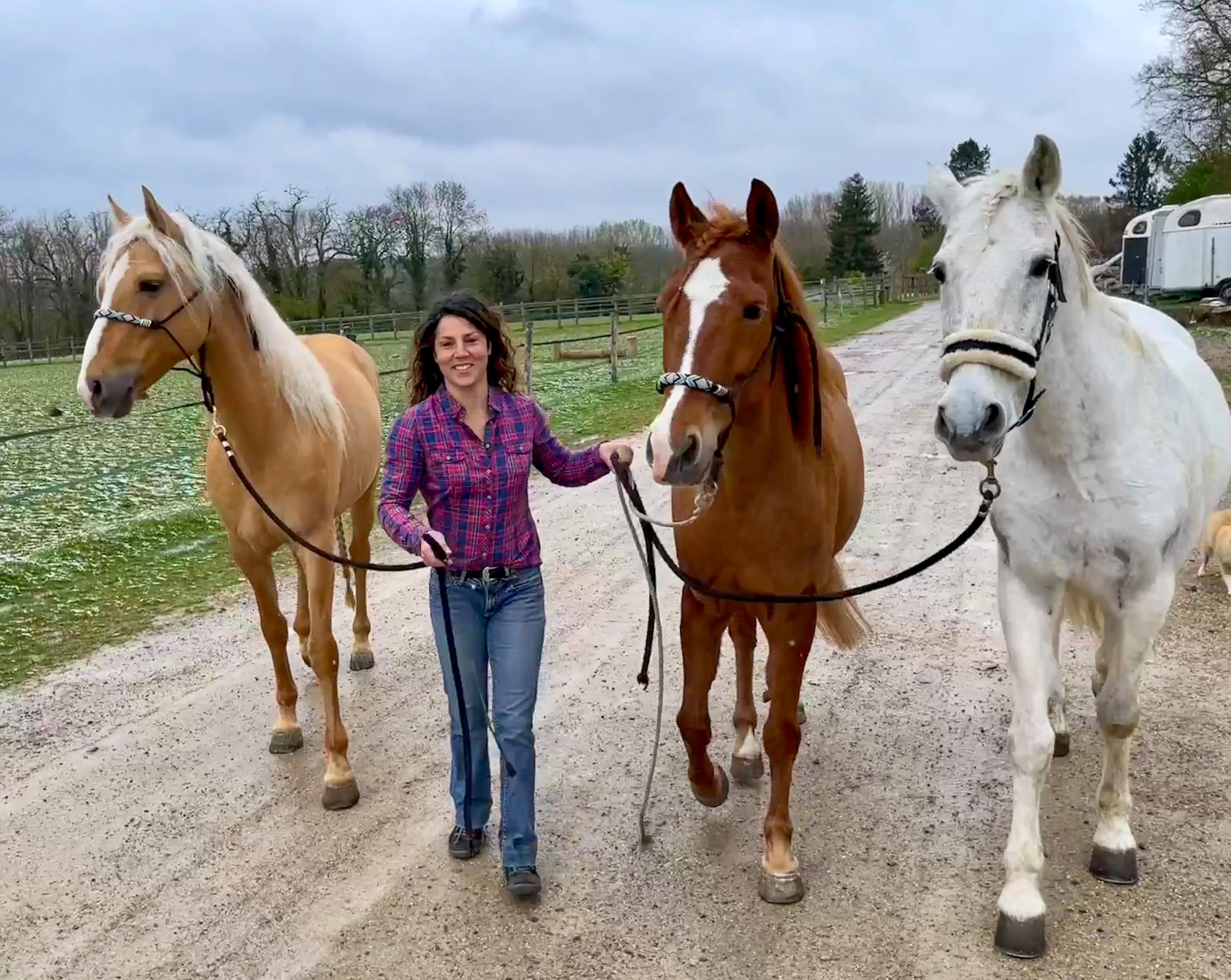 À Senlis, l’equicoaching en entreprise prend du galon 